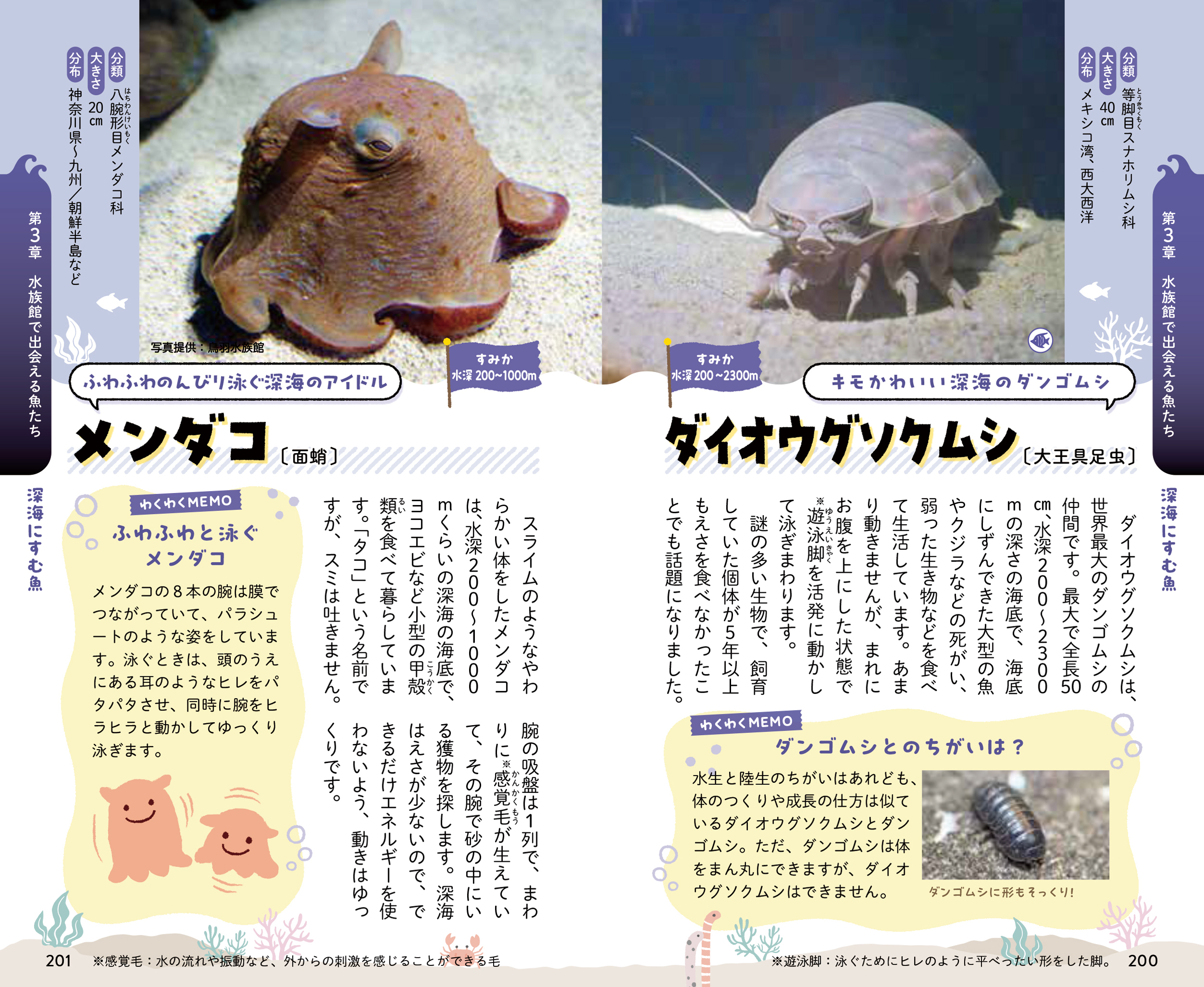 サムネイル画像8
