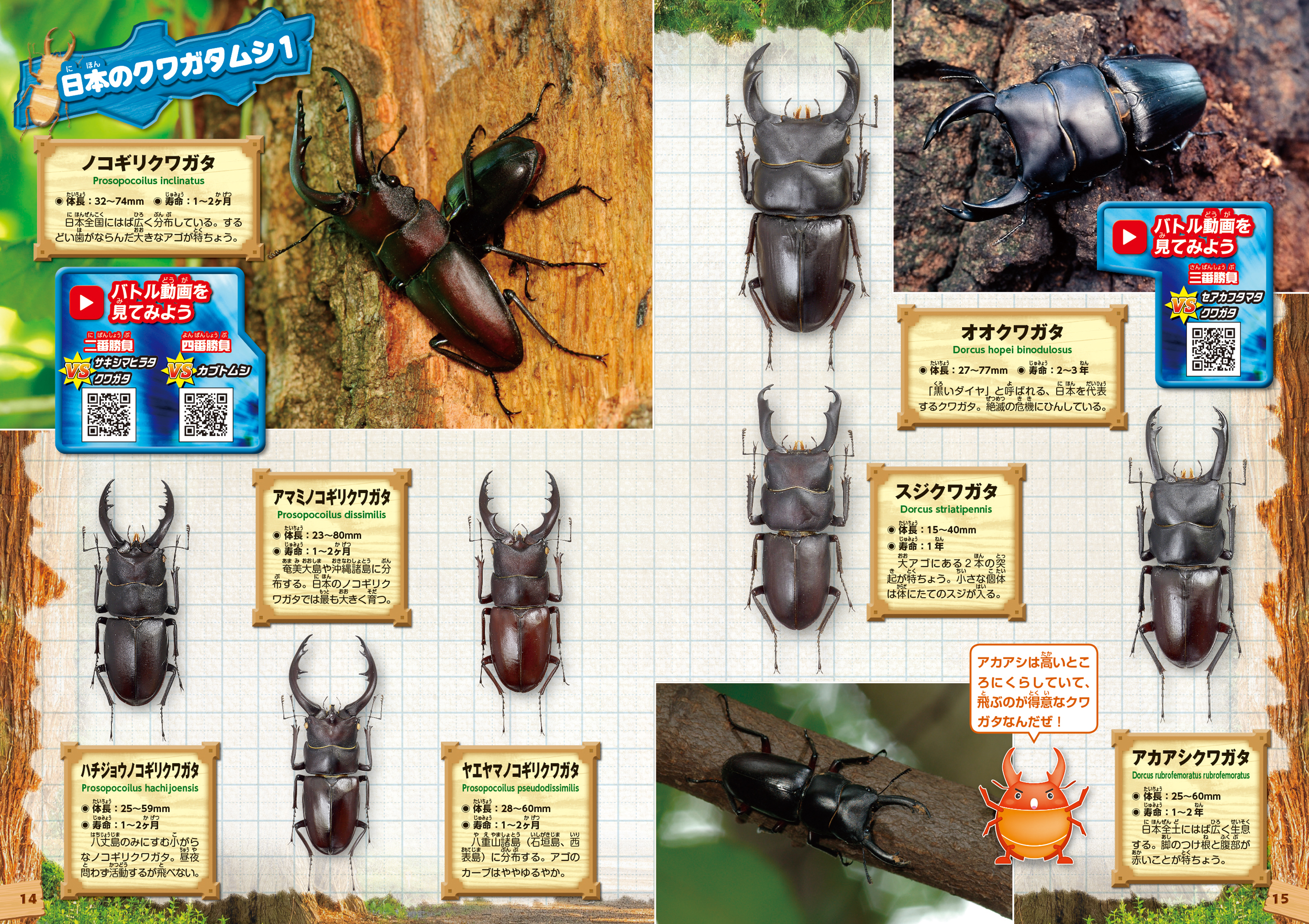 サムネイル画像3