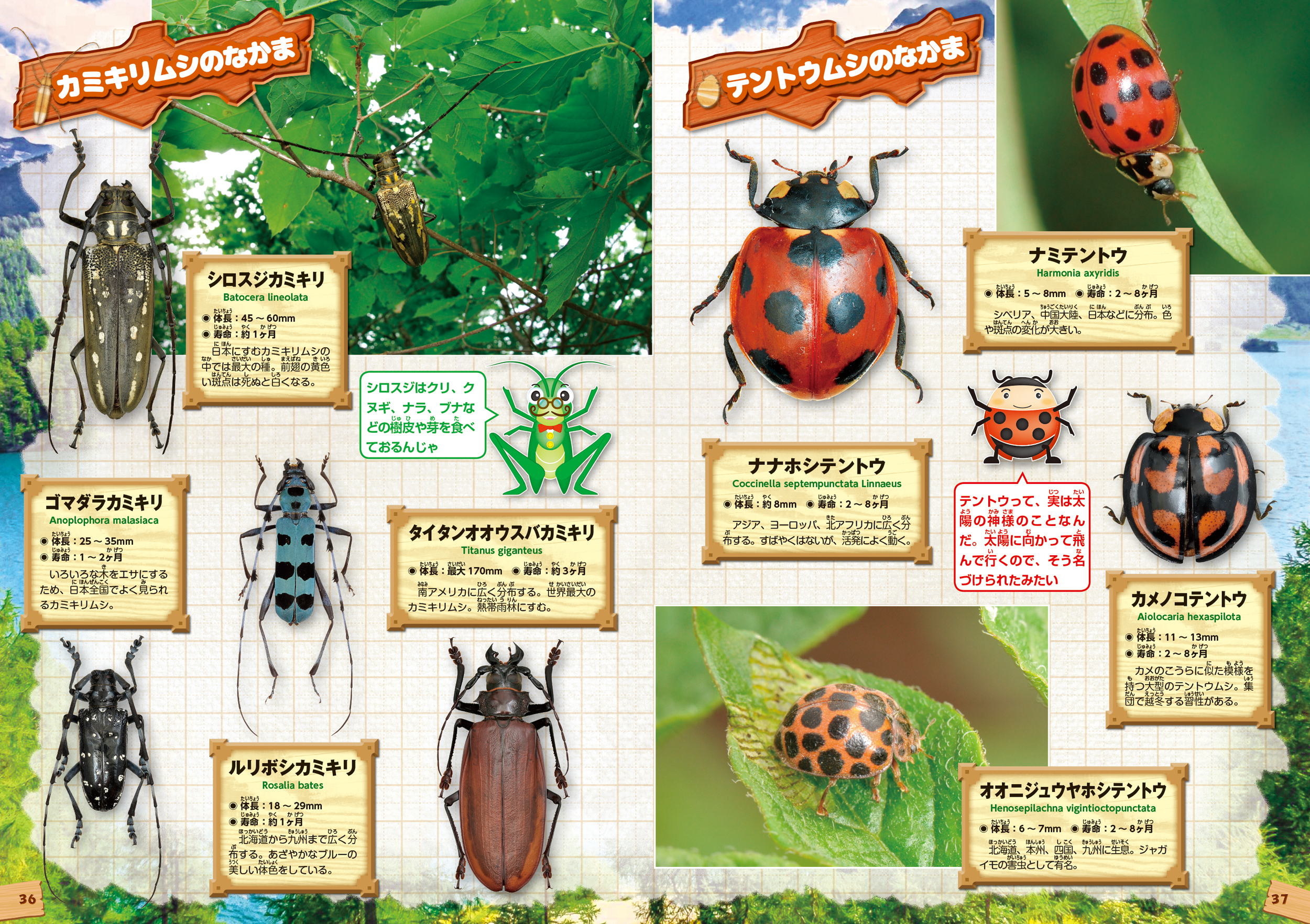 サムネイル画像5