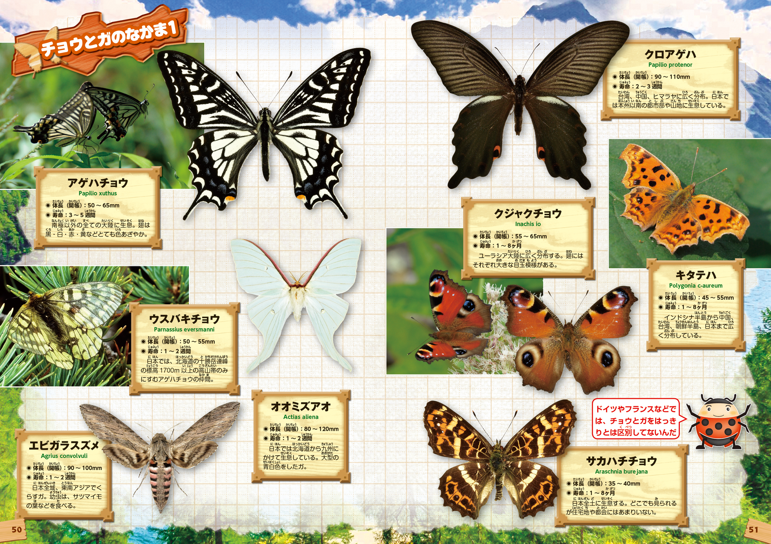 サムネイル画像6