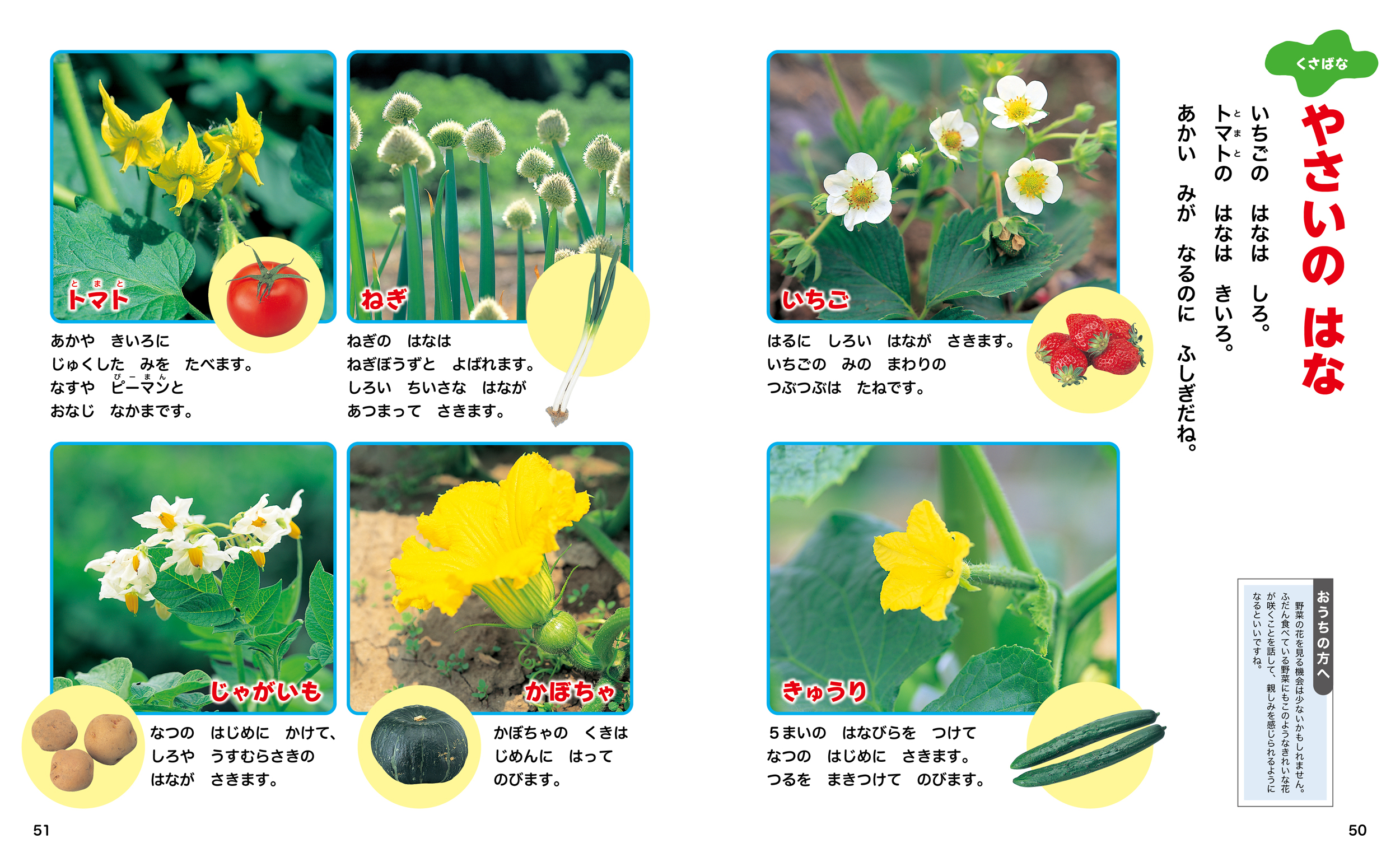 サムネイル画像3