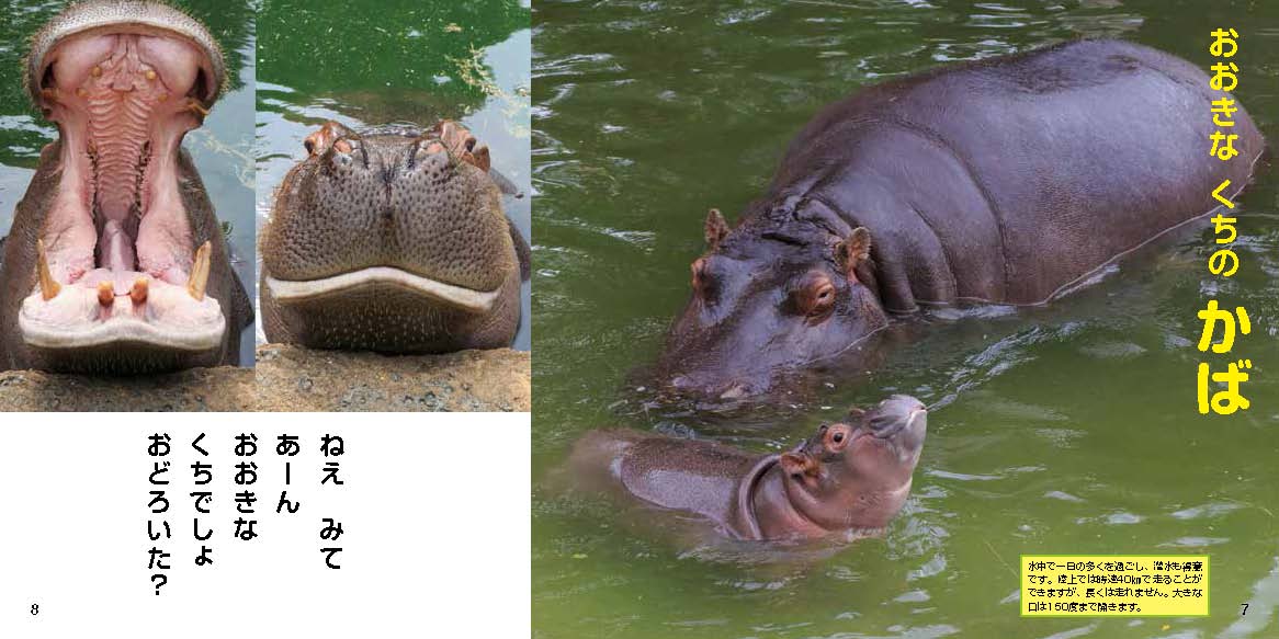 サムネイル画像3