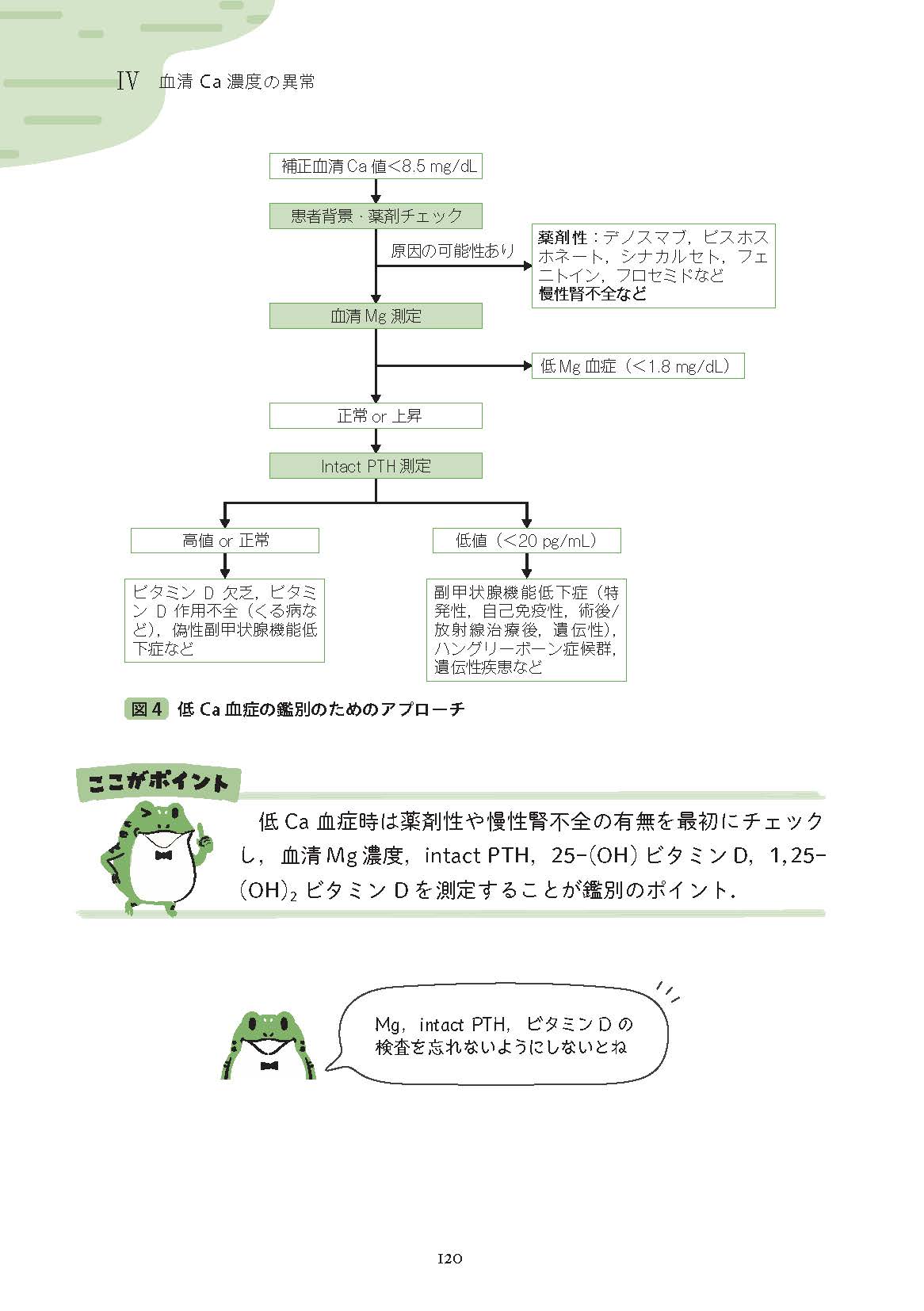 サムネイル画像4