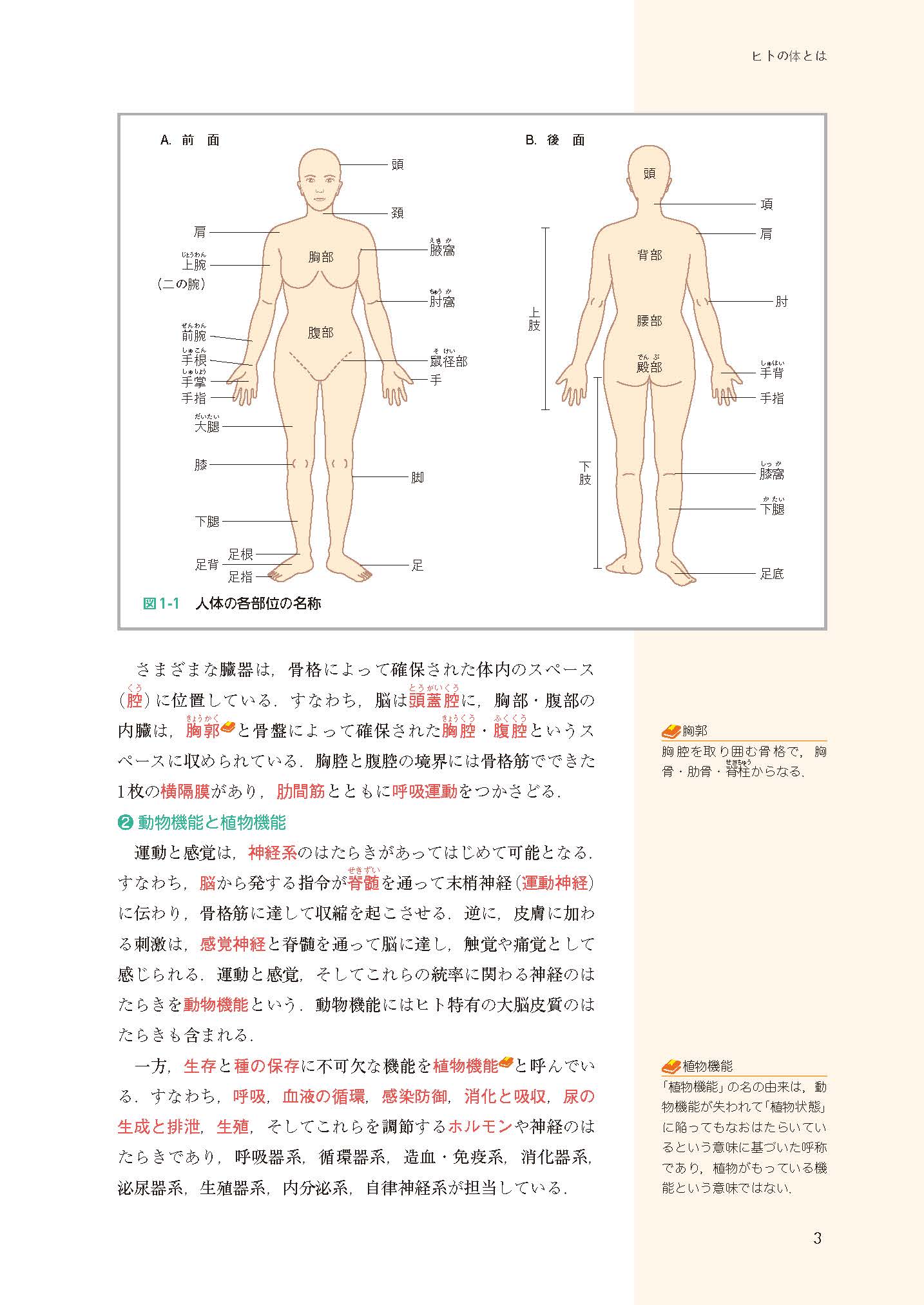 サムネイル画像2