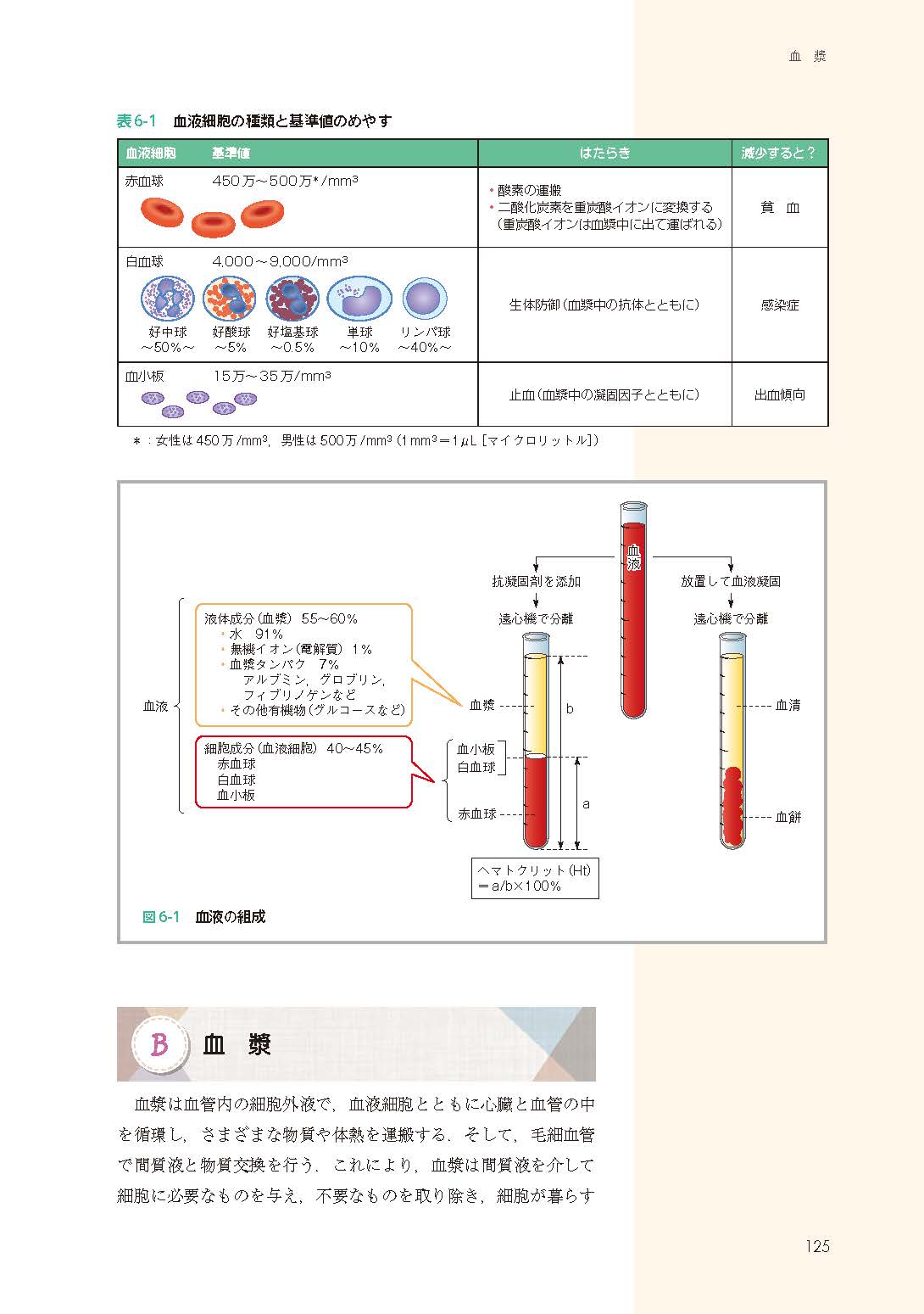 サムネイル画像4