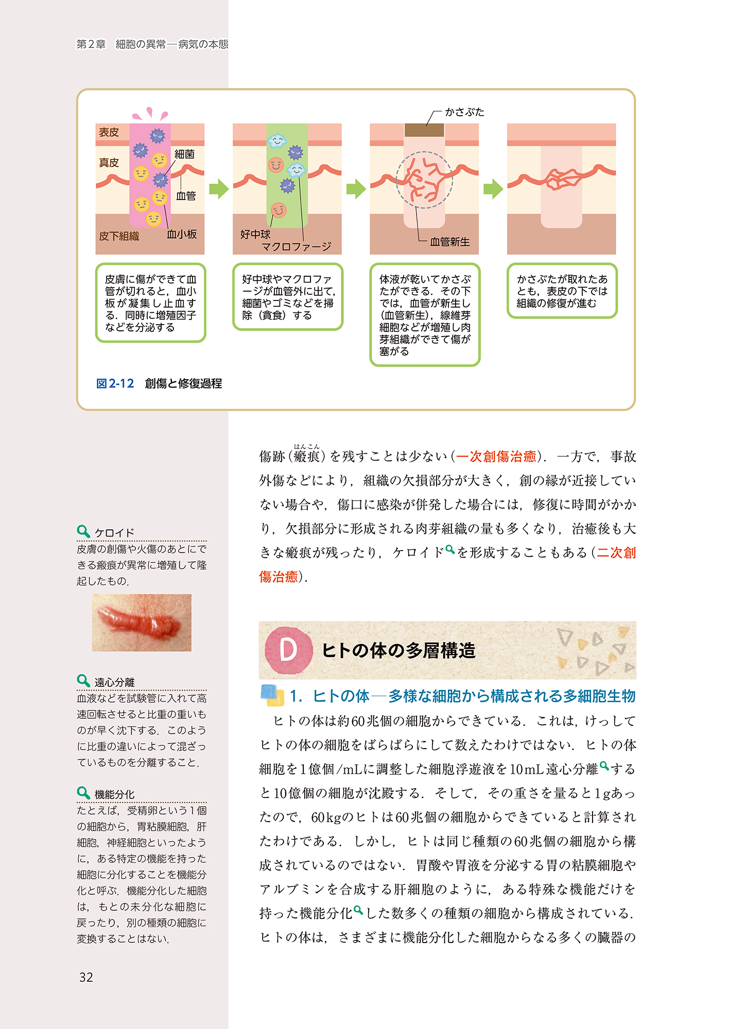サムネイル画像1