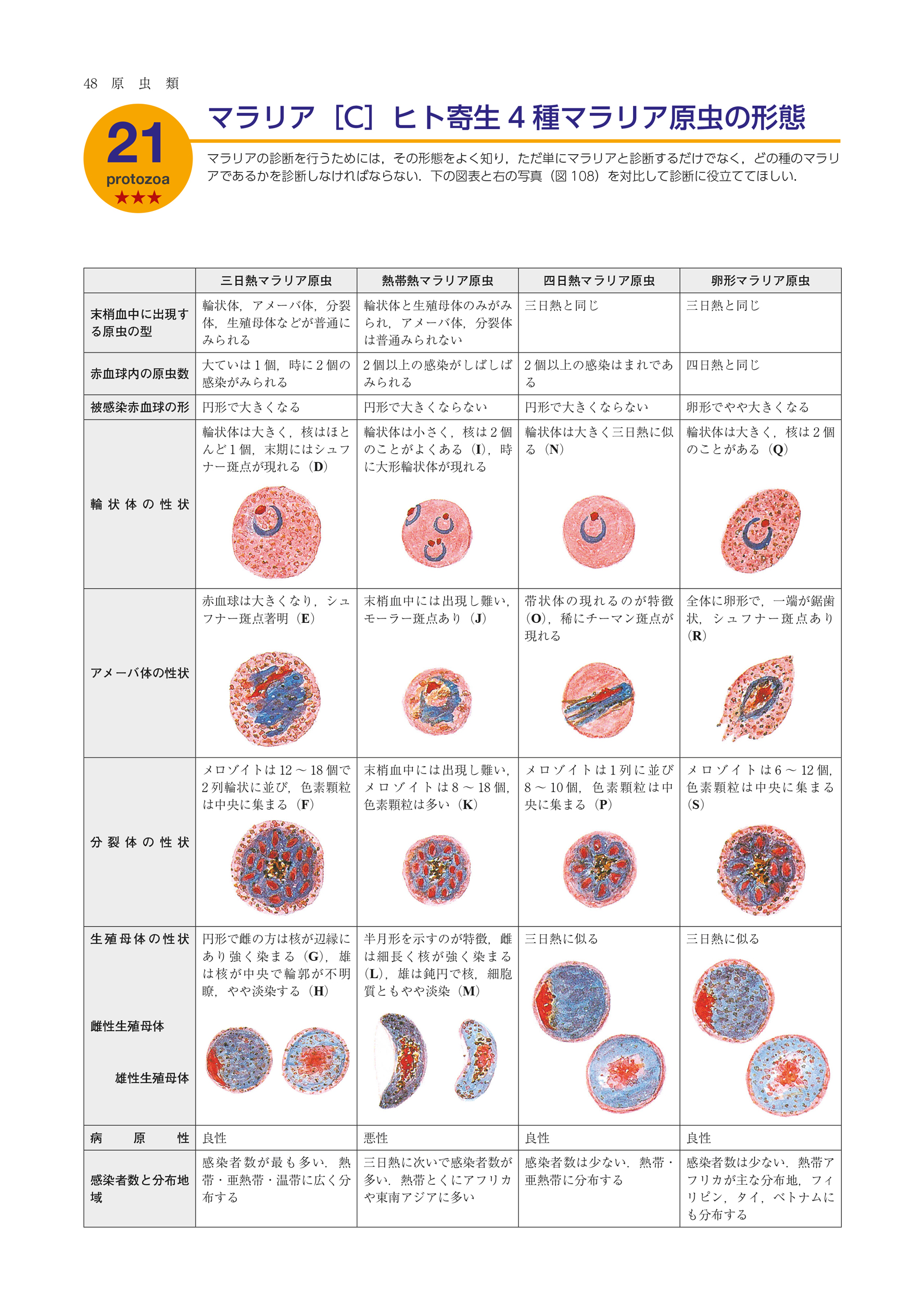 サムネイル画像3