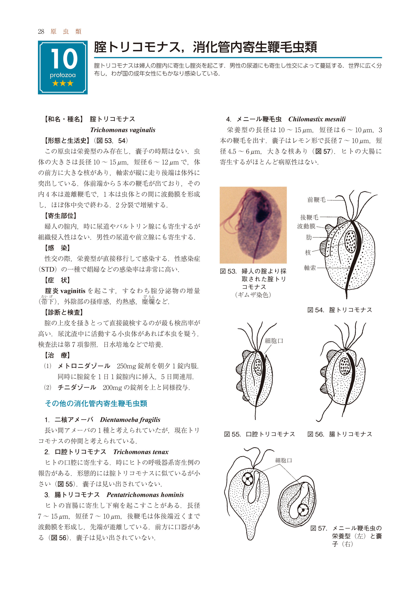 サムネイル画像3