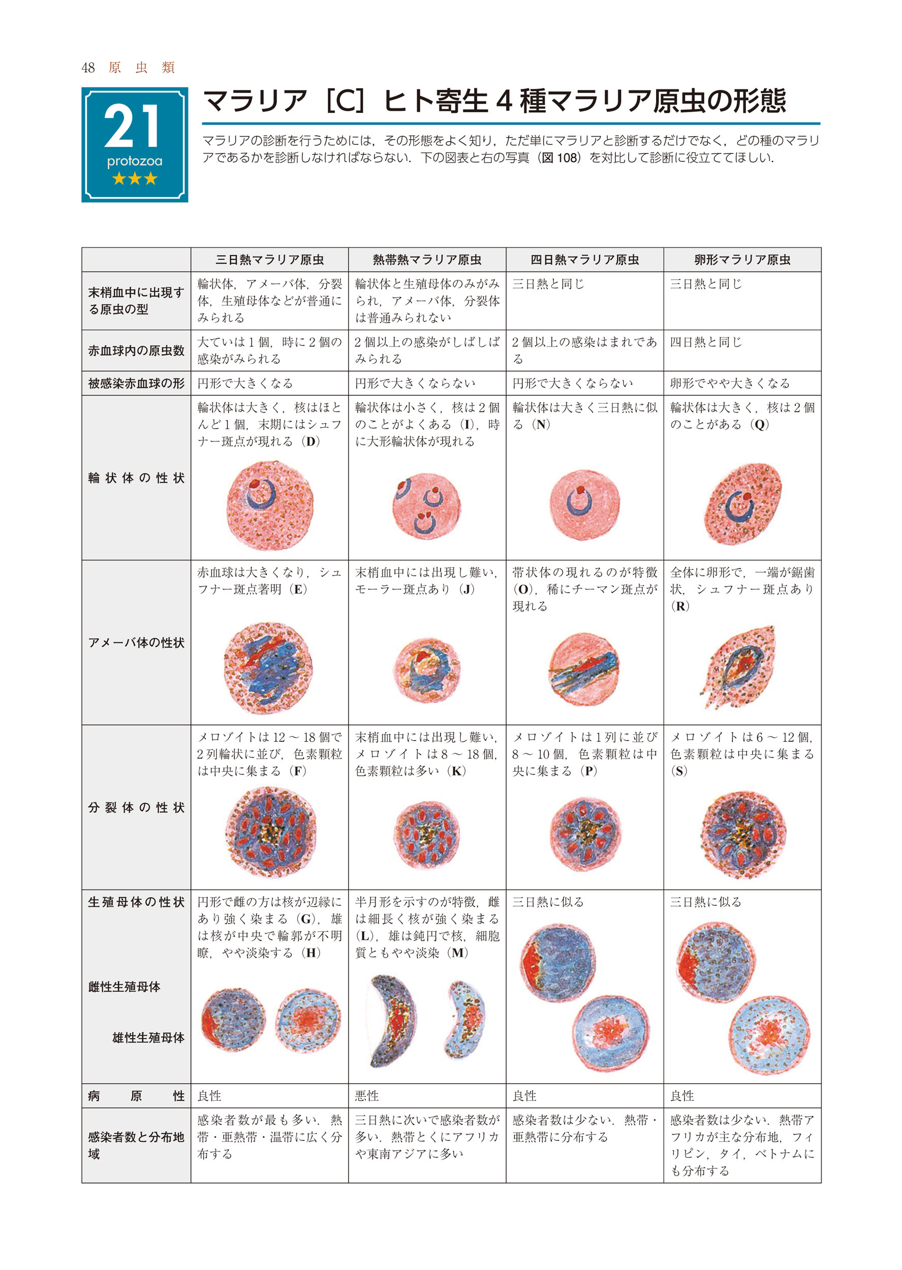 サムネイル画像5