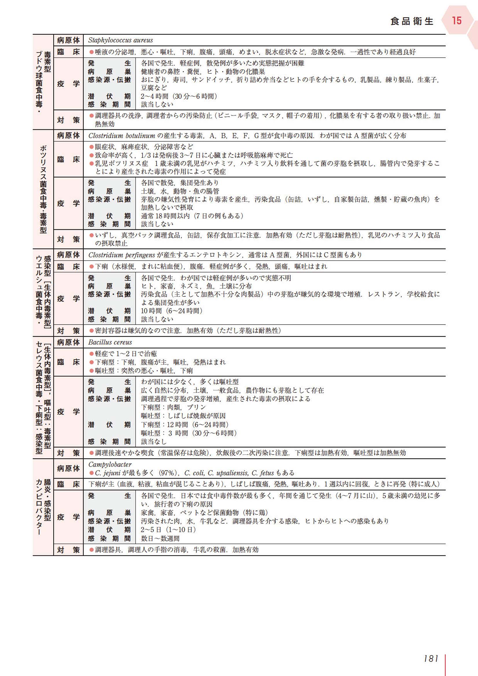 サムネイル画像8