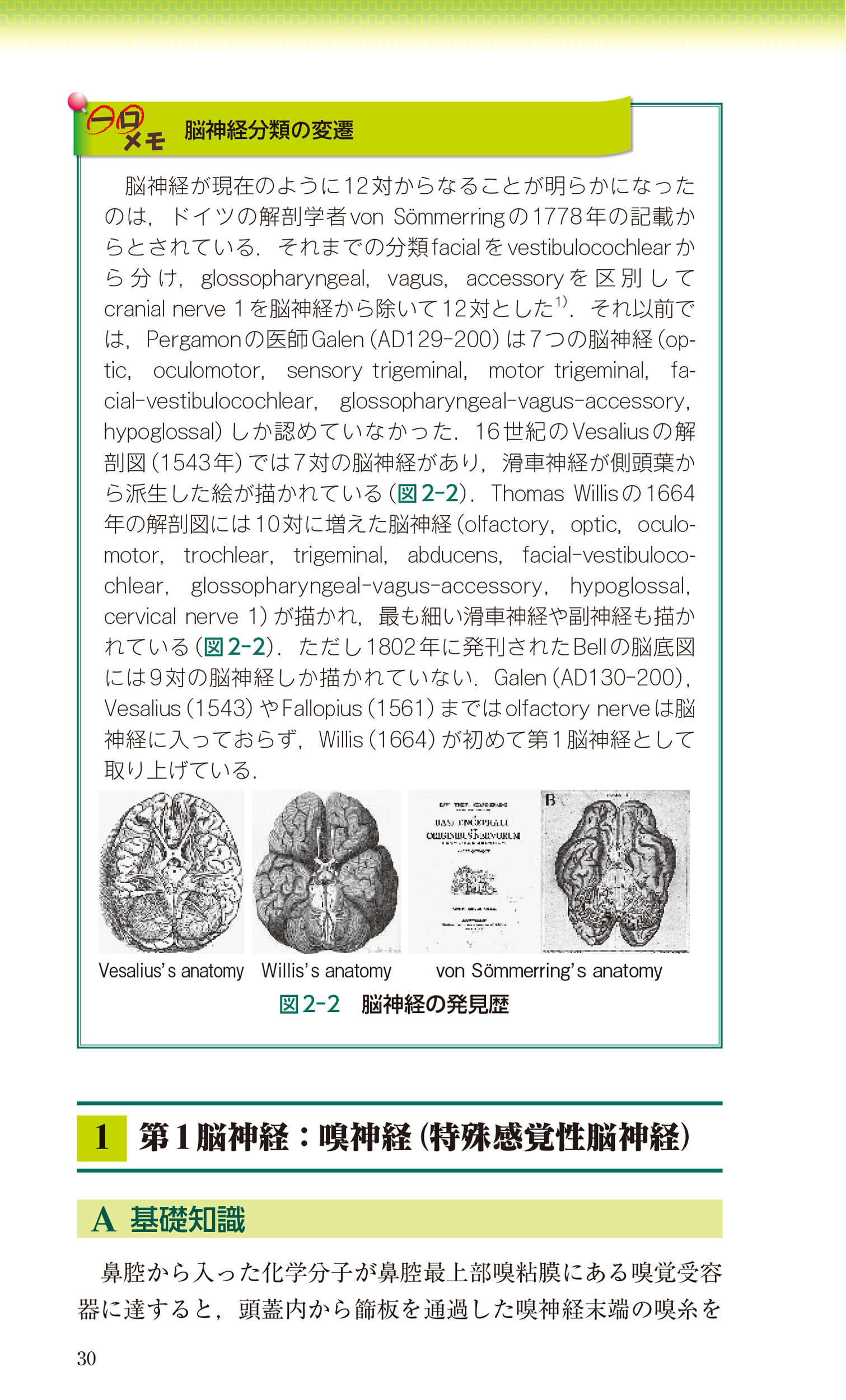 サムネイル画像5