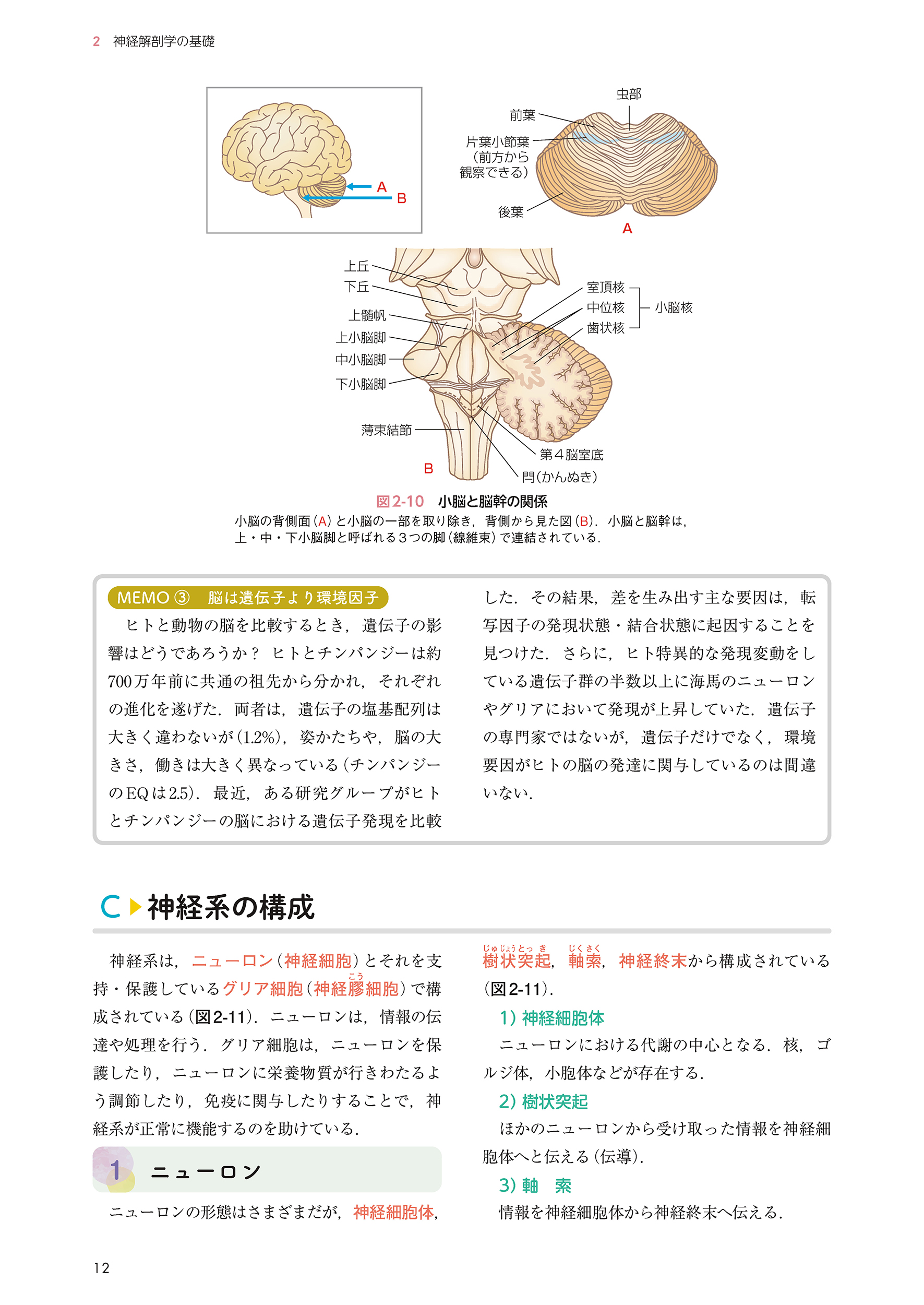サムネイル画像1