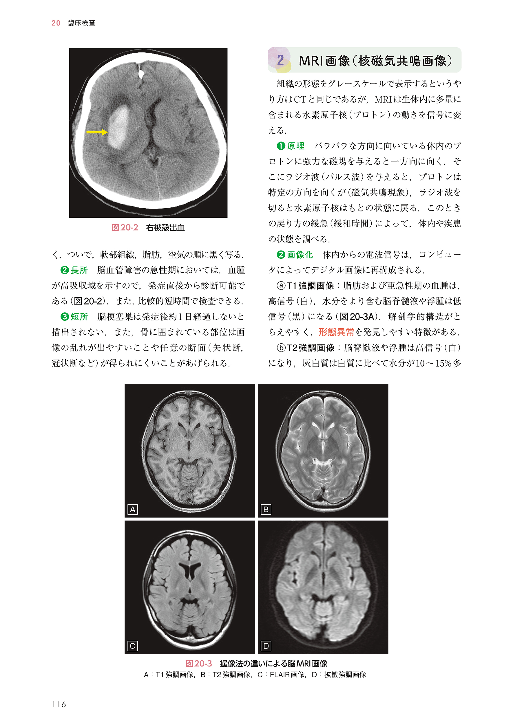 サムネイル画像5