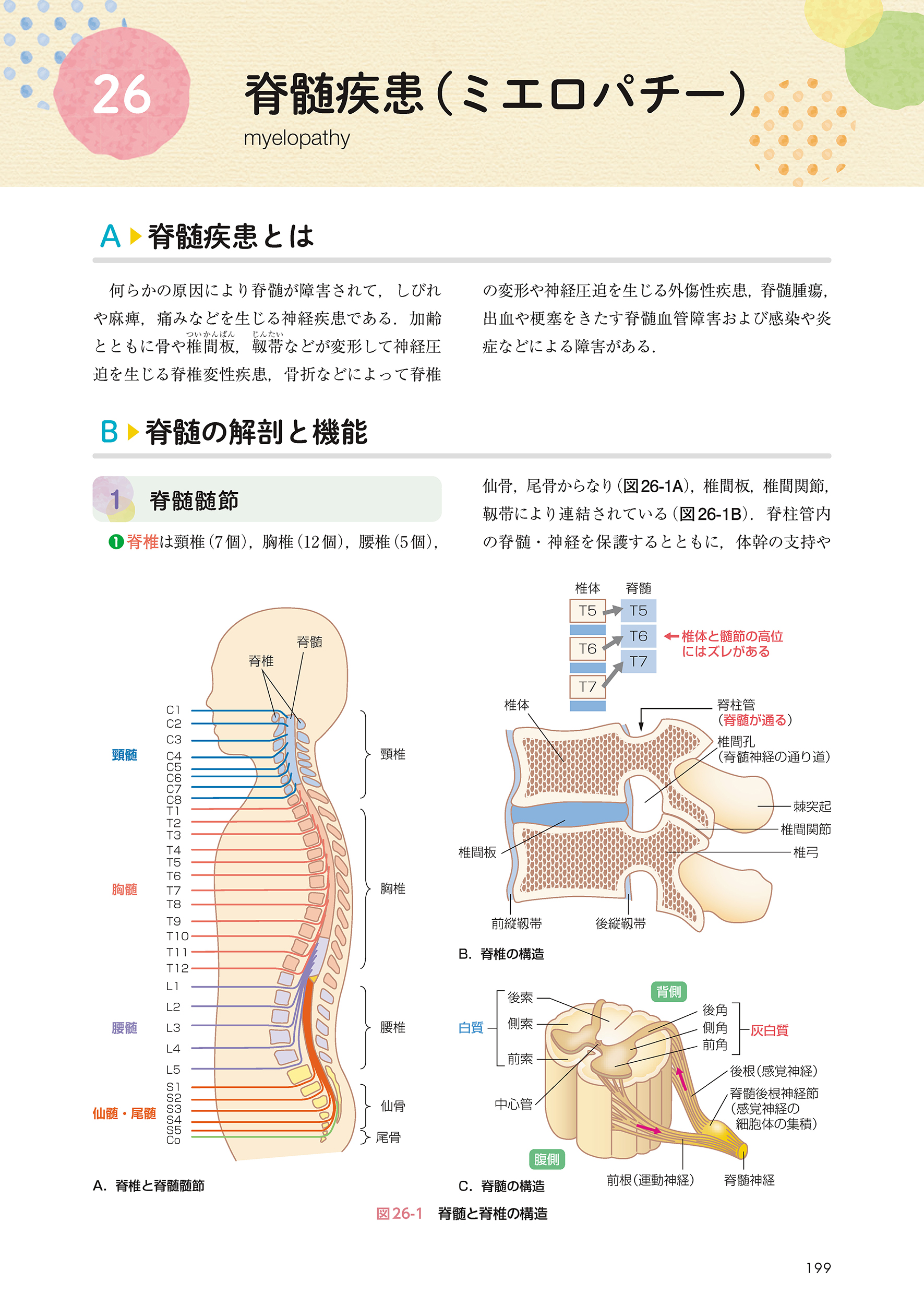 サムネイル画像8
