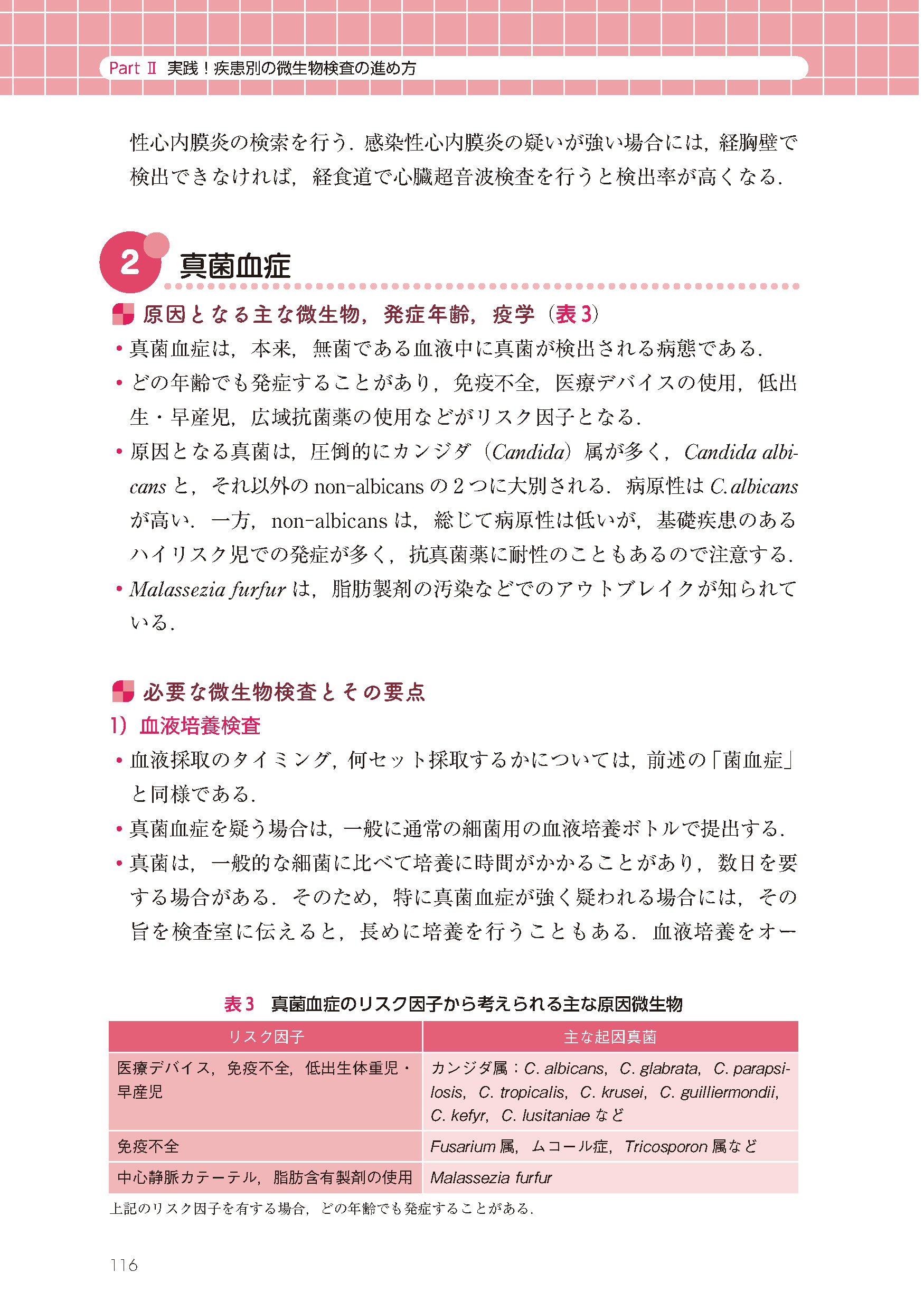 サムネイル画像4