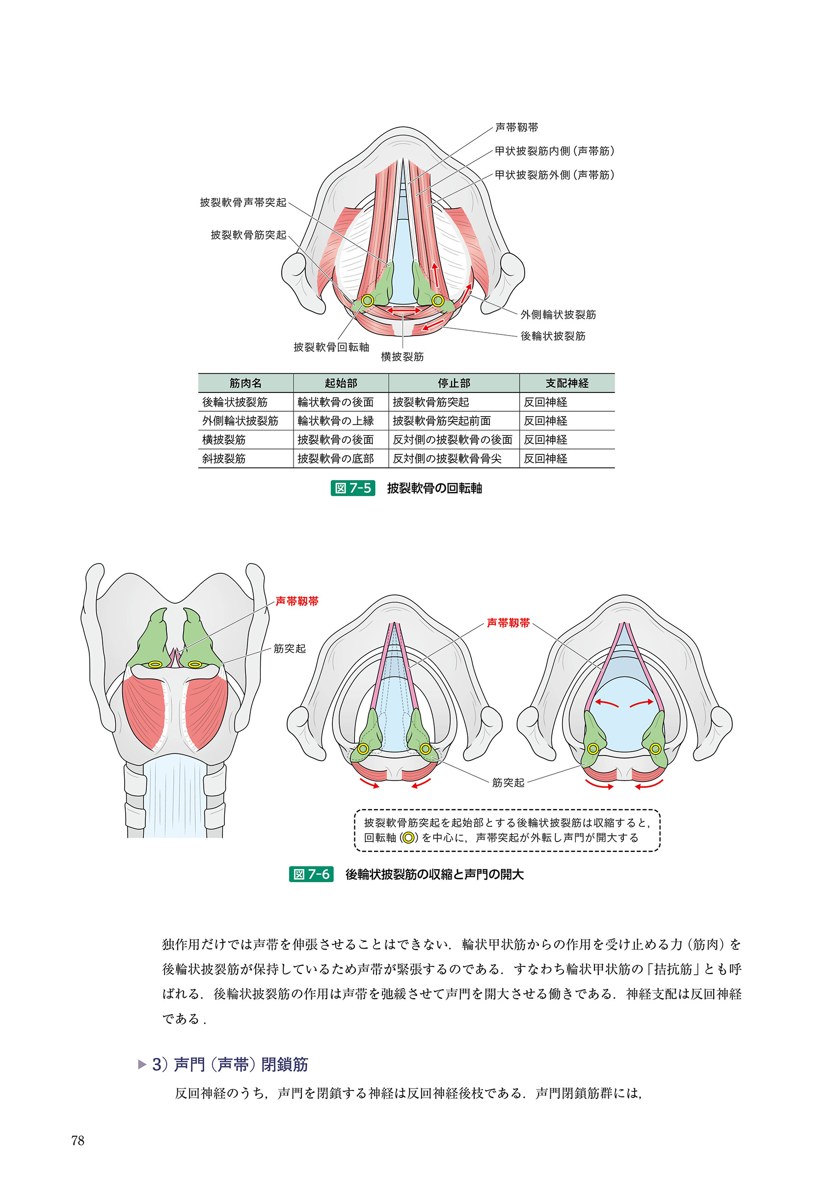 サムネイル画像8