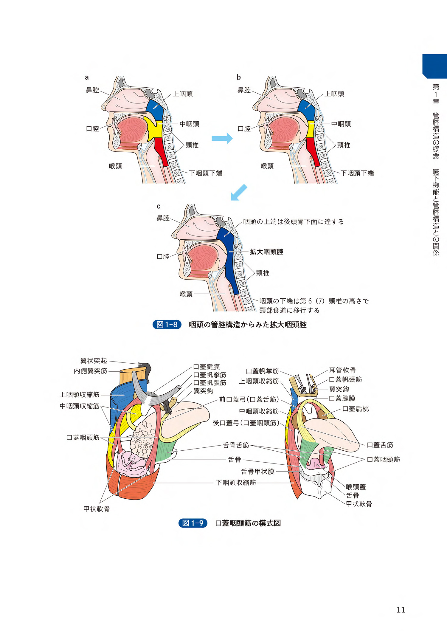 サムネイル画像2