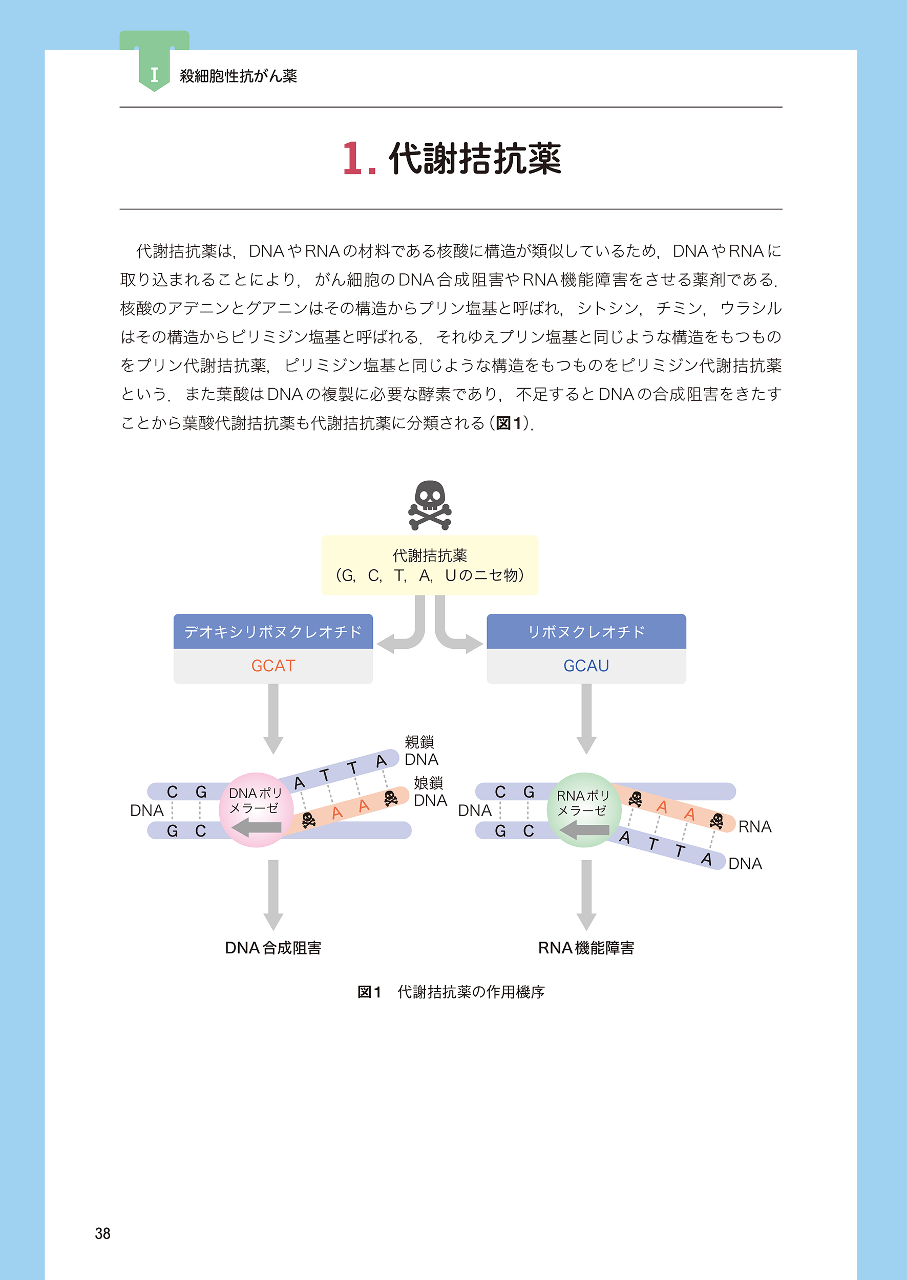 サムネイル画像5