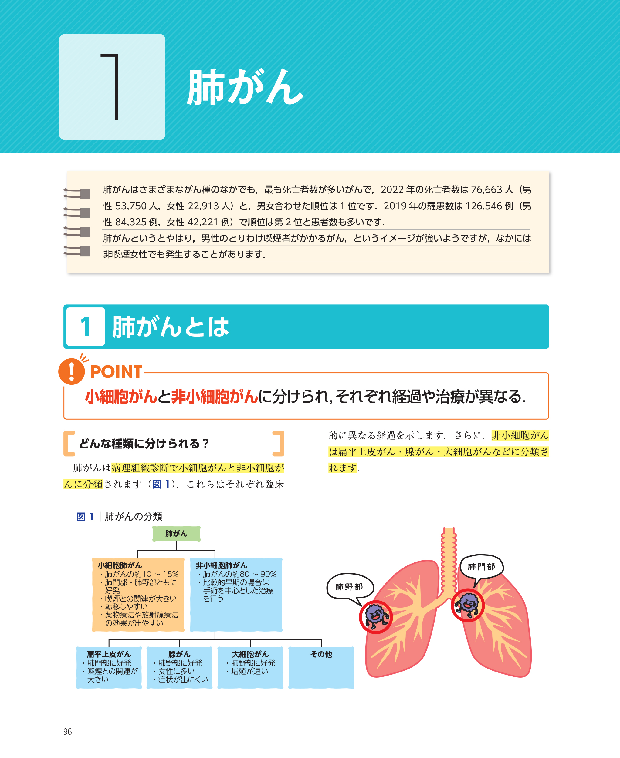サムネイル画像7