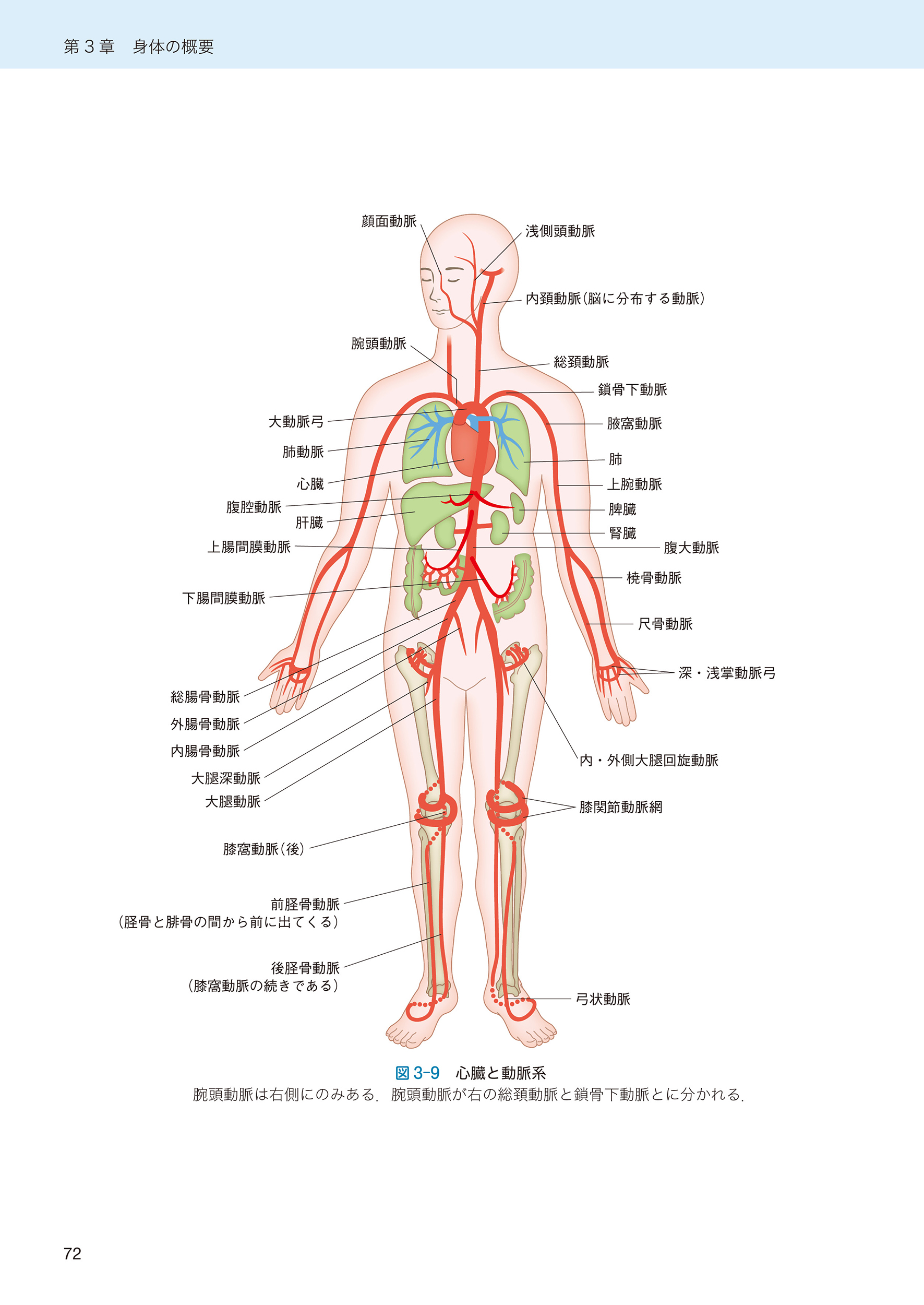 サムネイル画像5