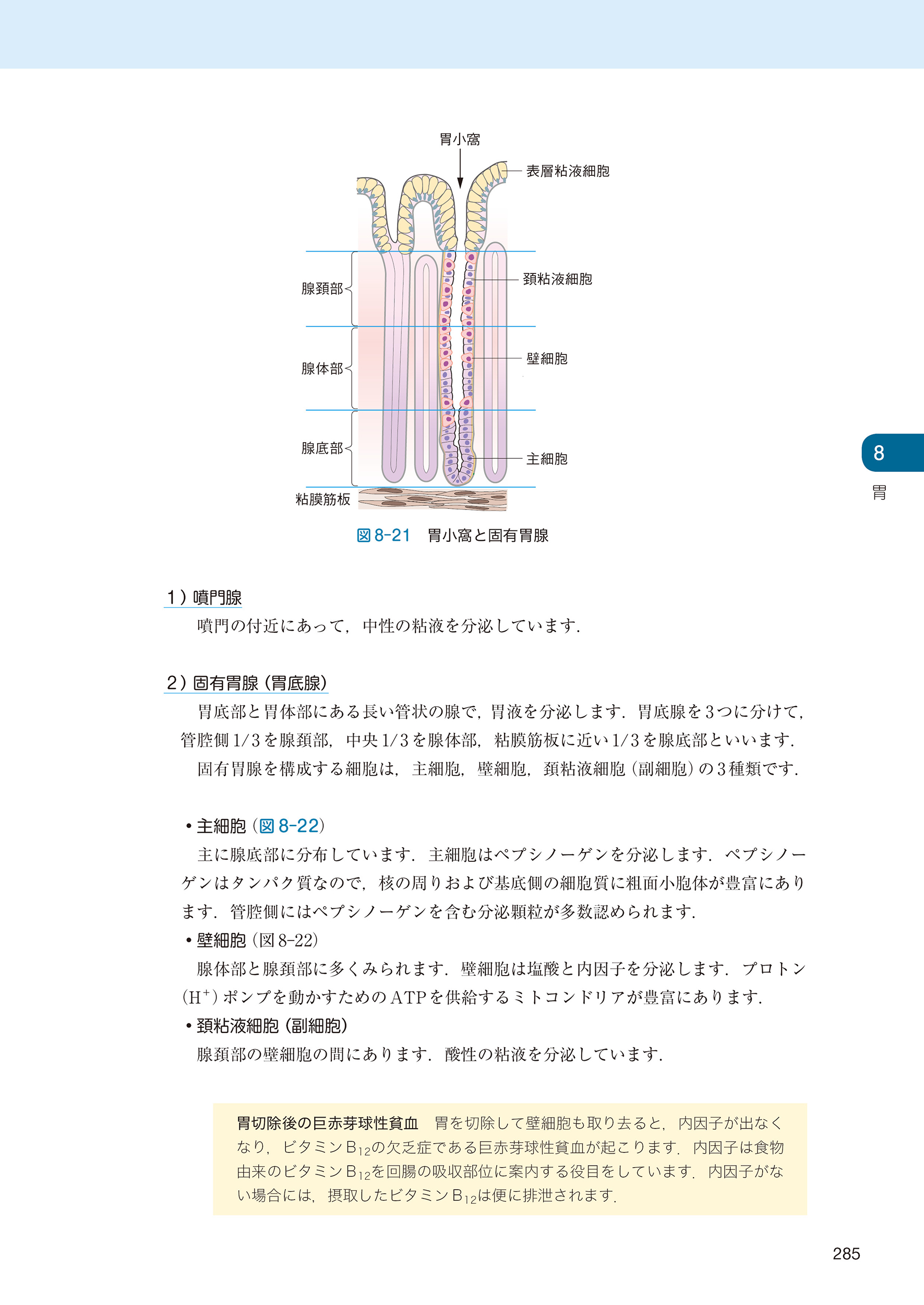 サムネイル画像8