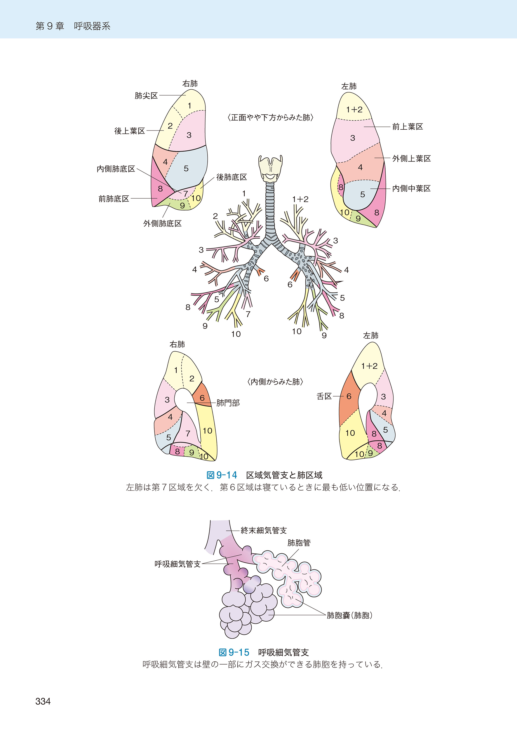 サムネイル画像9