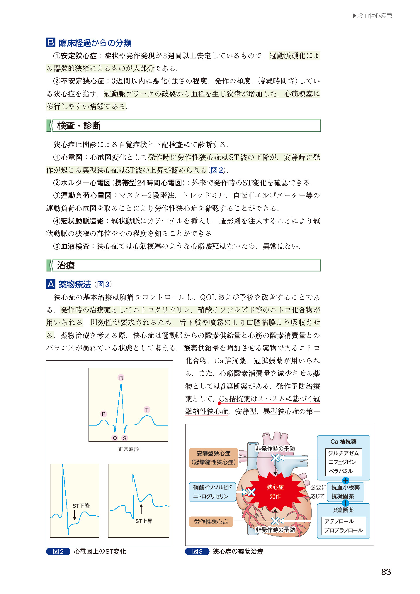 サムネイル画像5