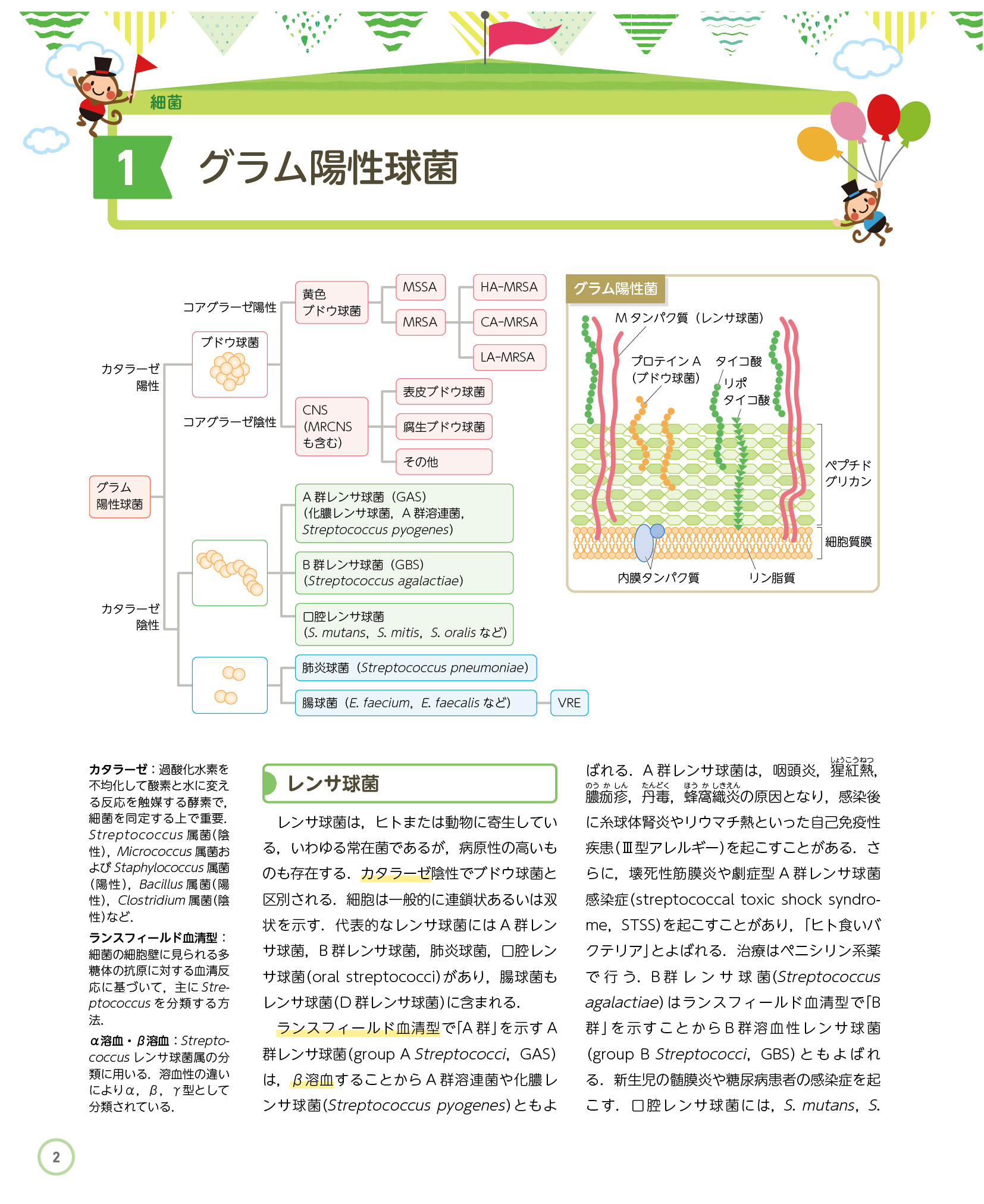 サムネイル画像5