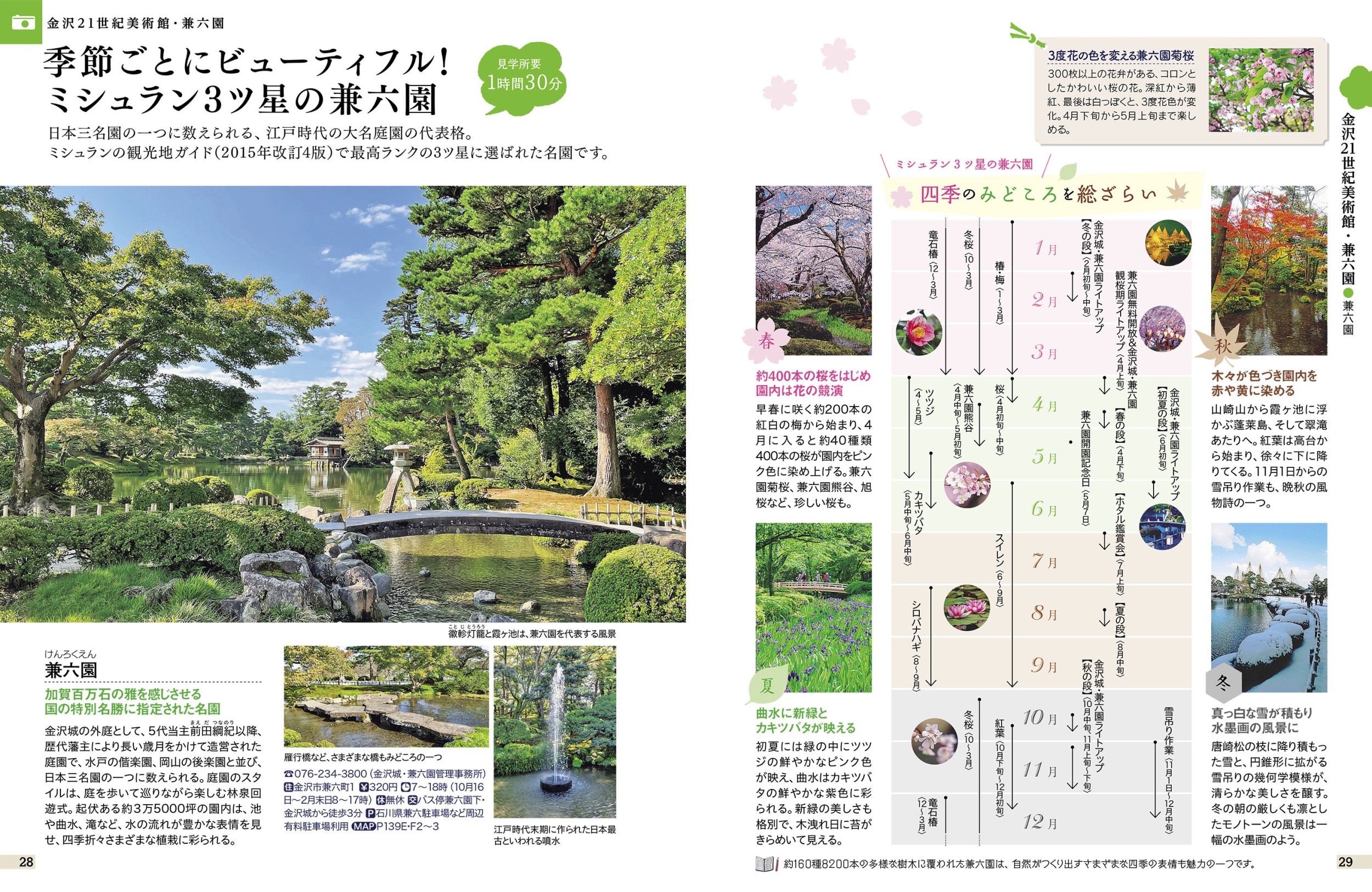 サムネイル画像5