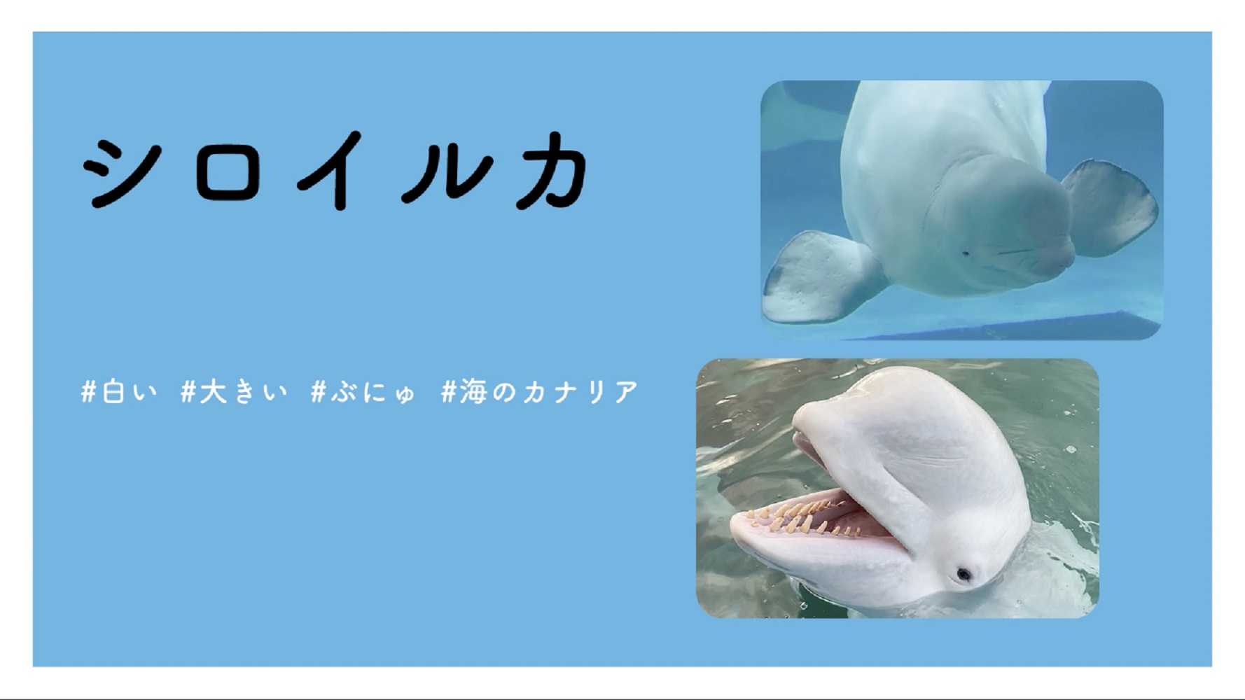 サムネイル画像5
