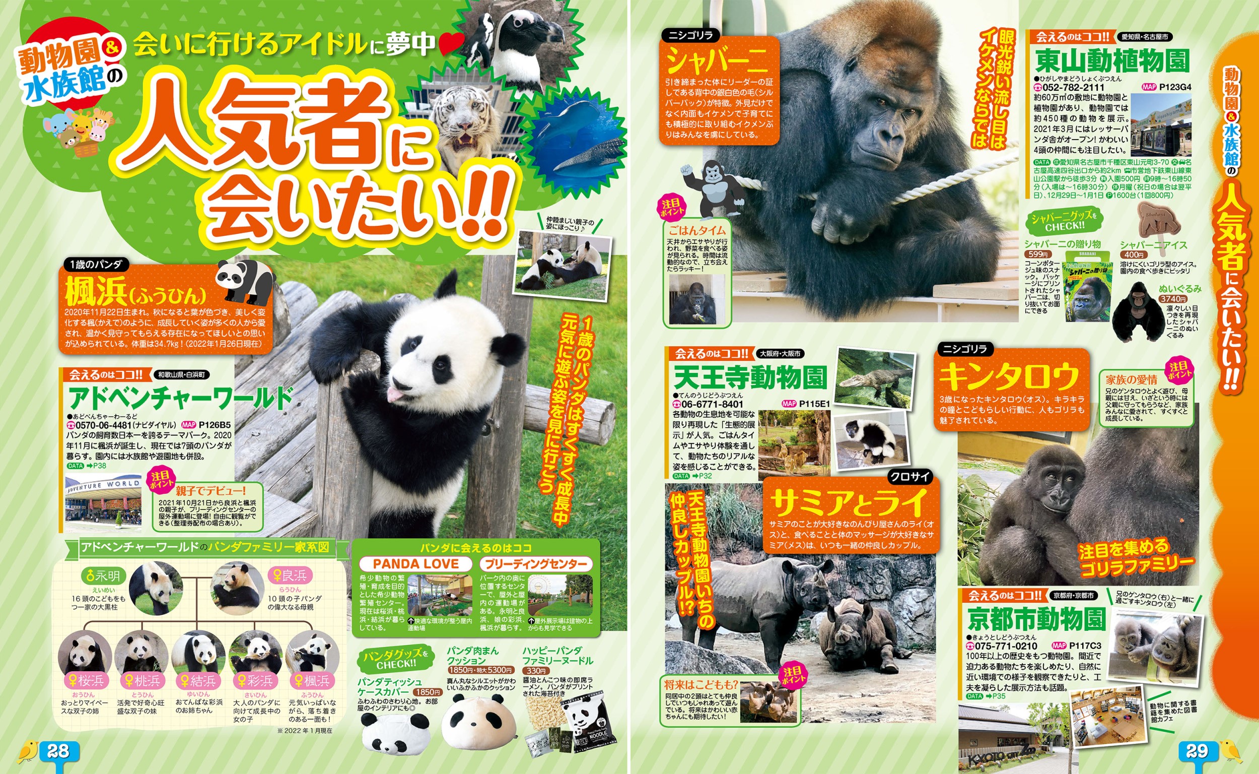 サムネイル画像5