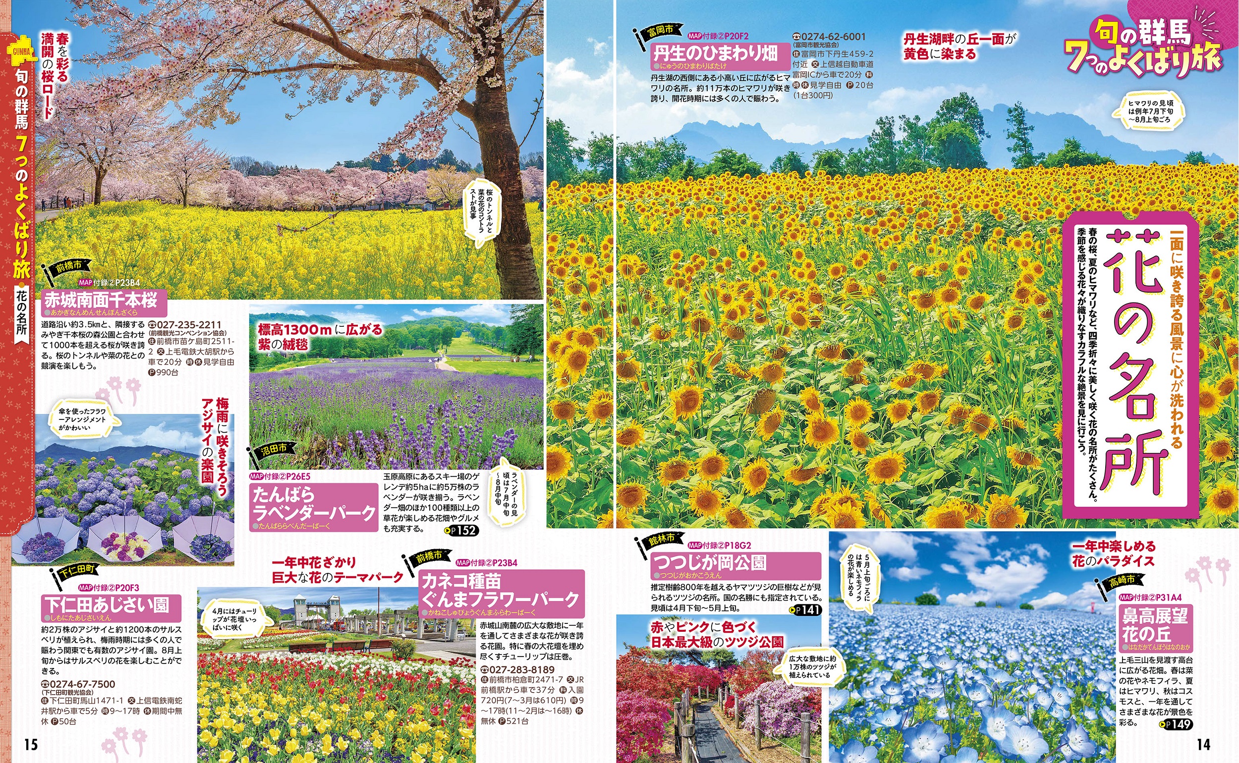 サムネイル画像4
