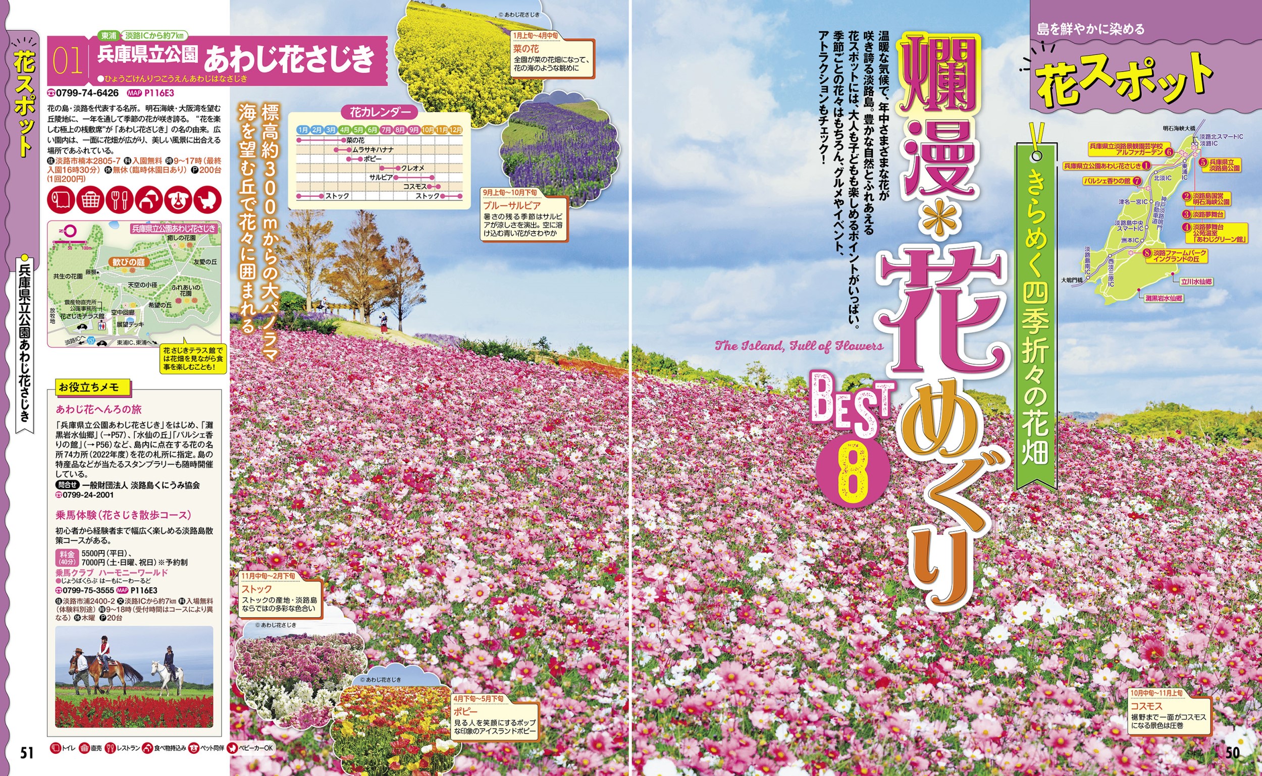 サムネイル画像5