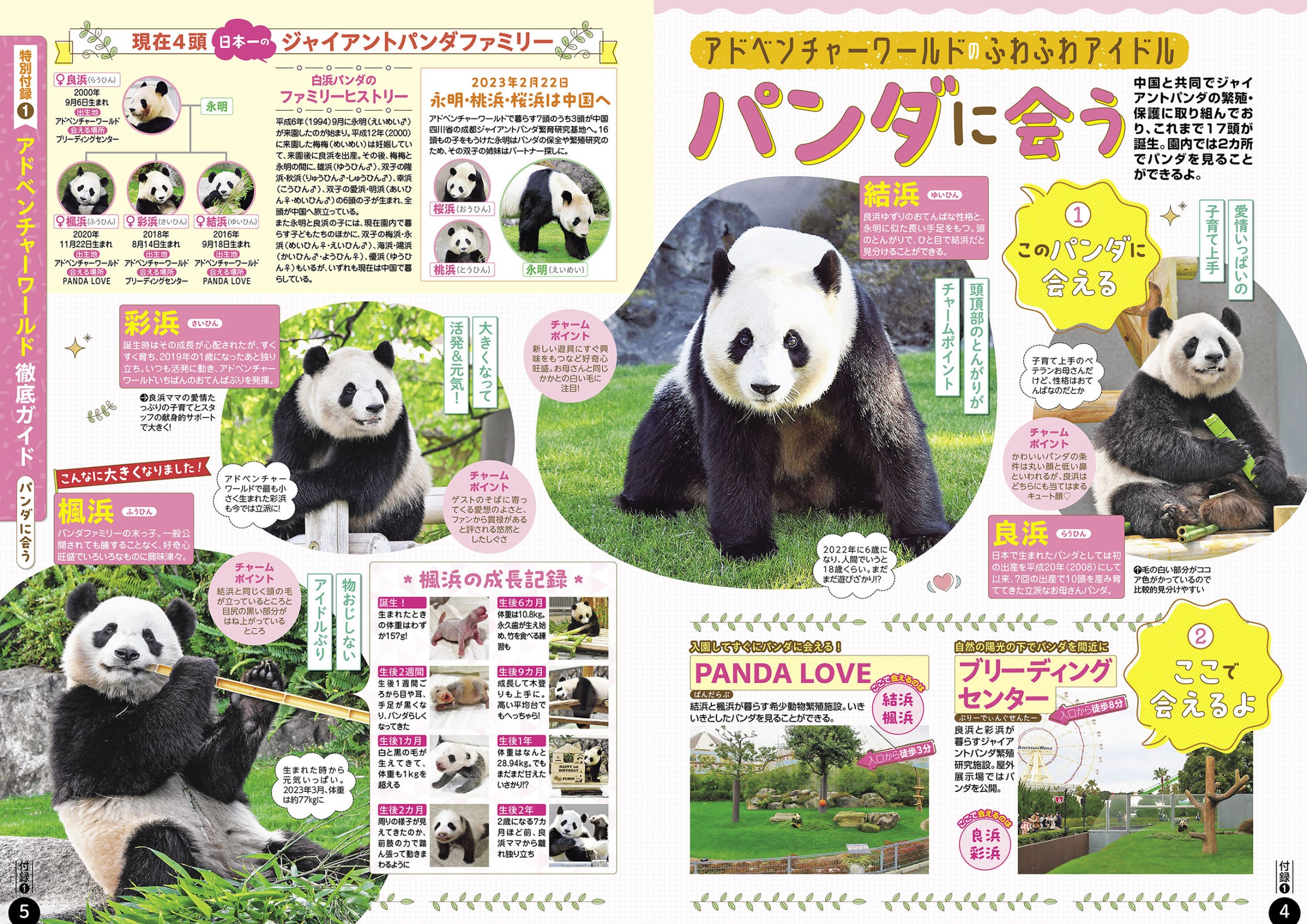 サムネイル画像2