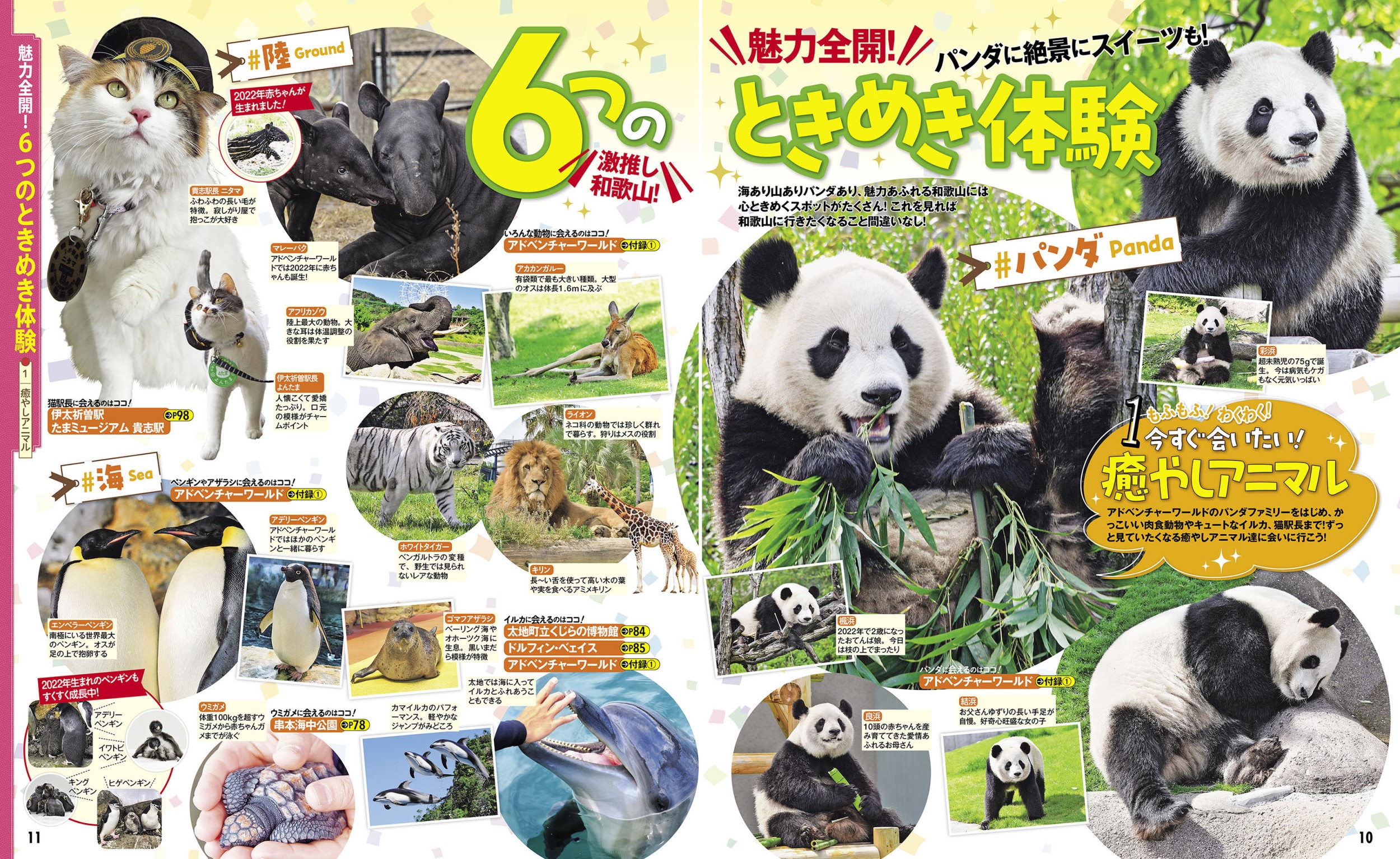 サムネイル画像3