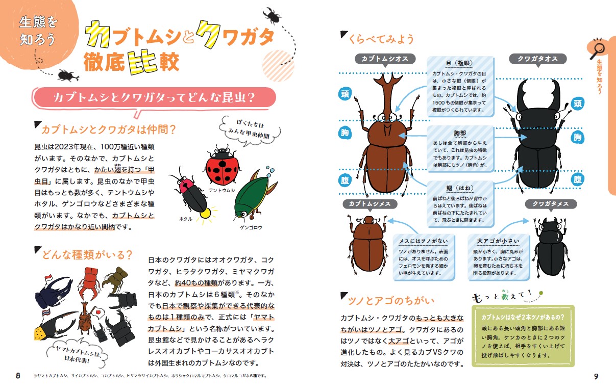 サムネイル画像3