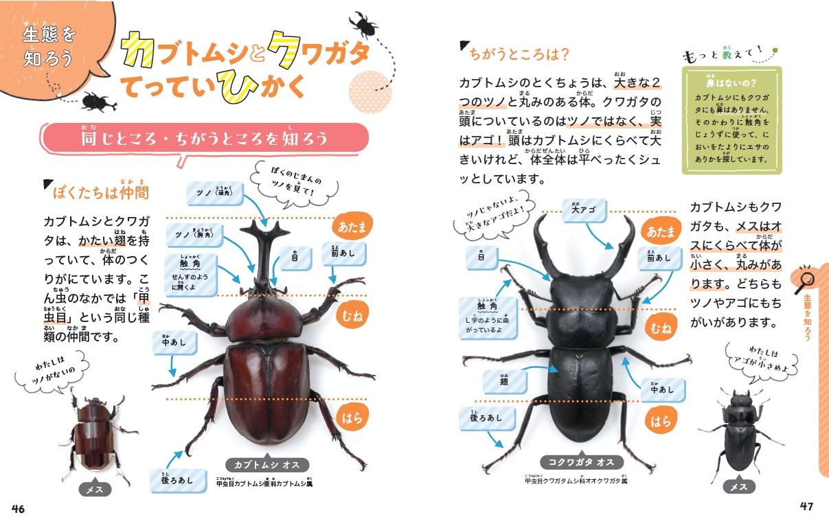 サムネイル画像4
