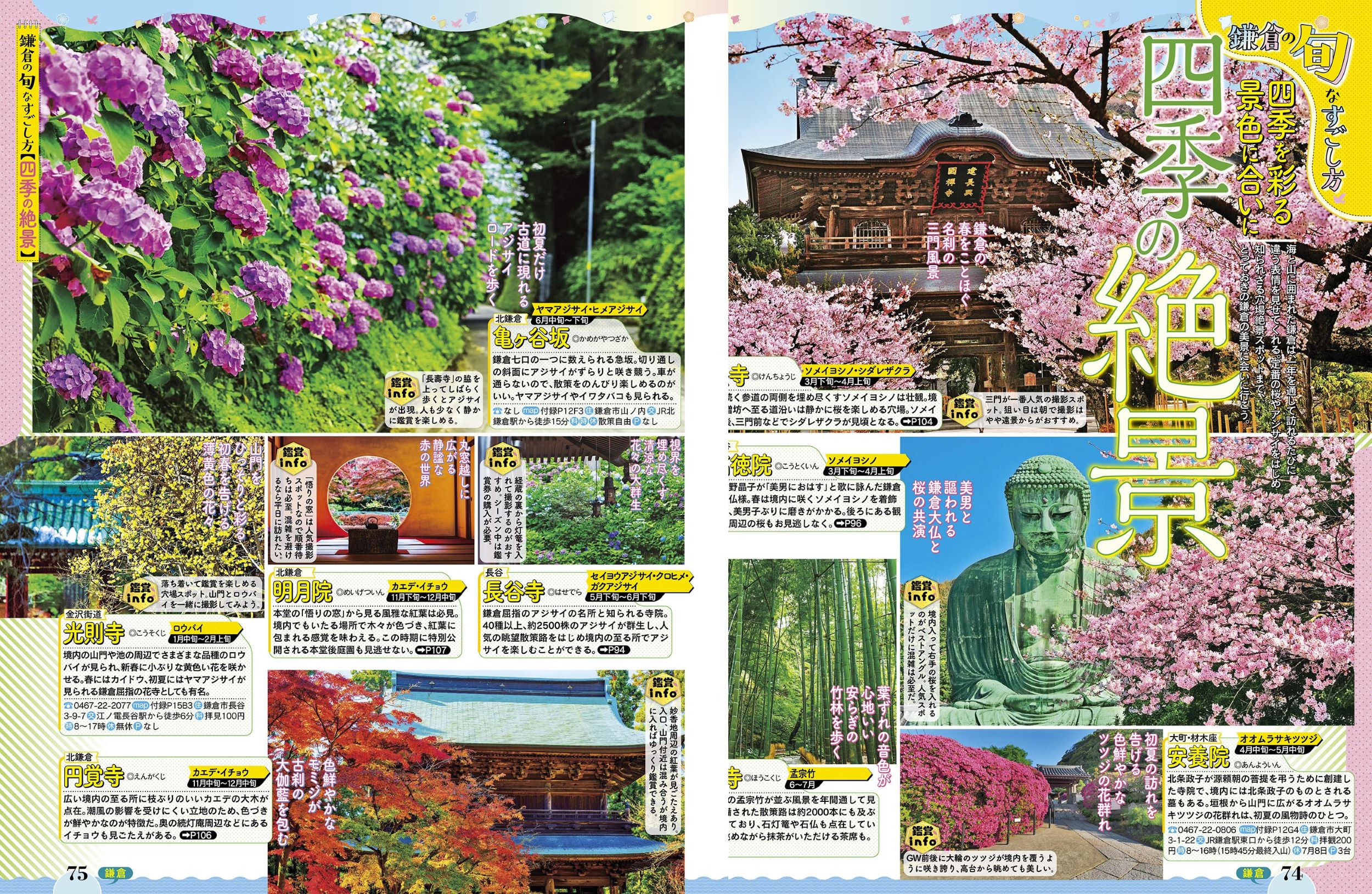 サムネイル画像5