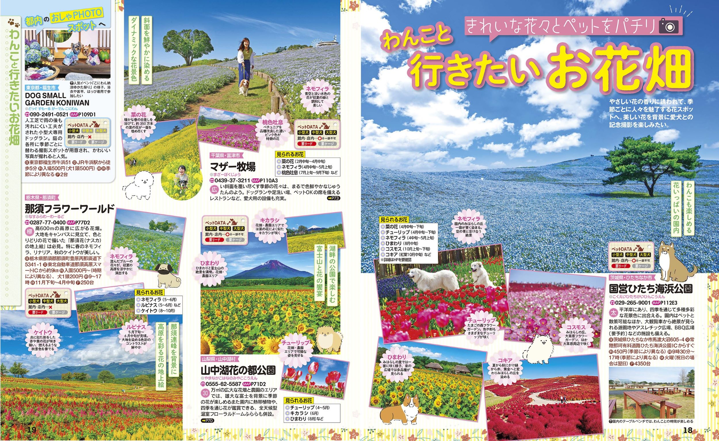 サムネイル画像4
