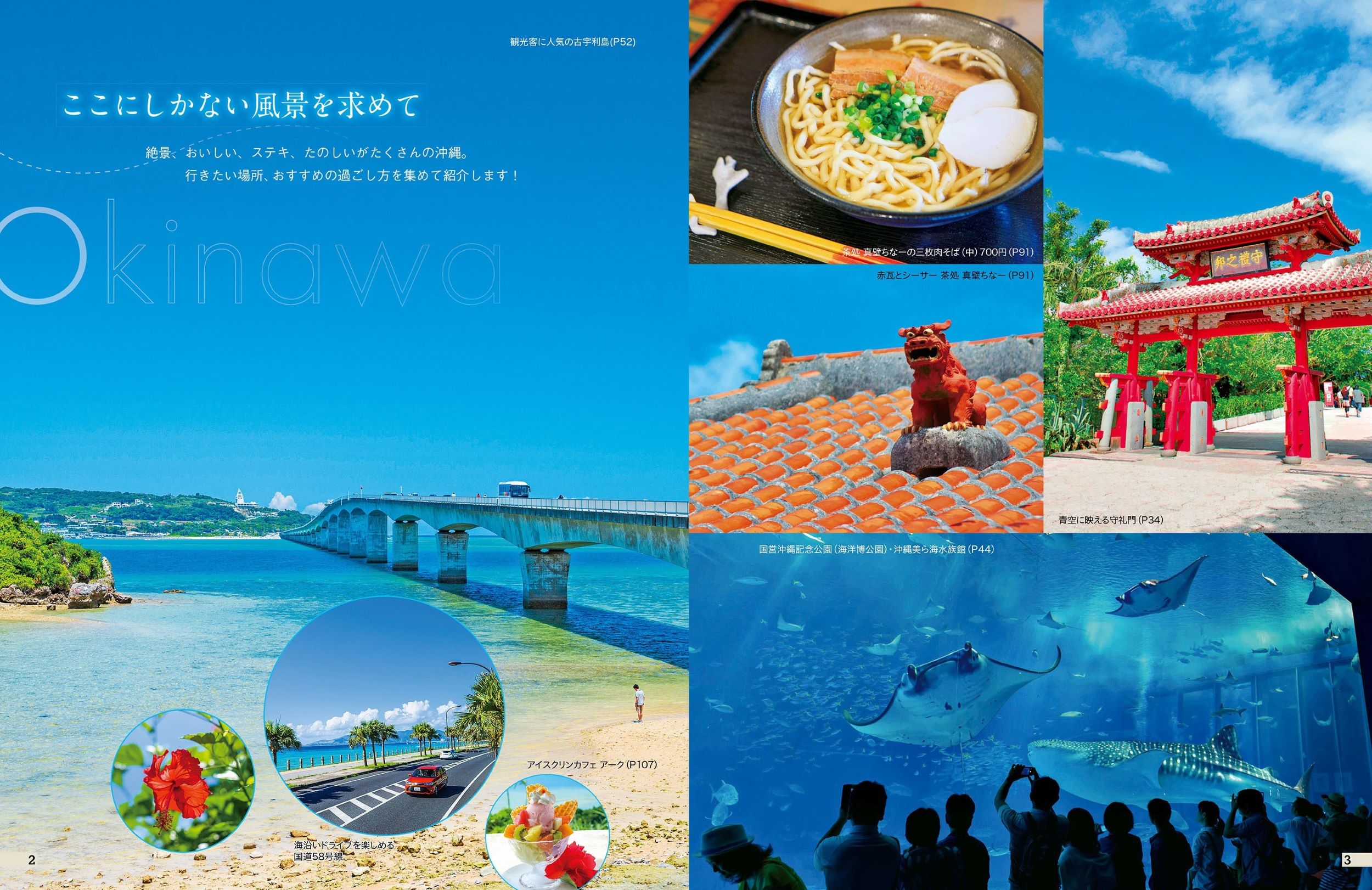 サムネイル画像2