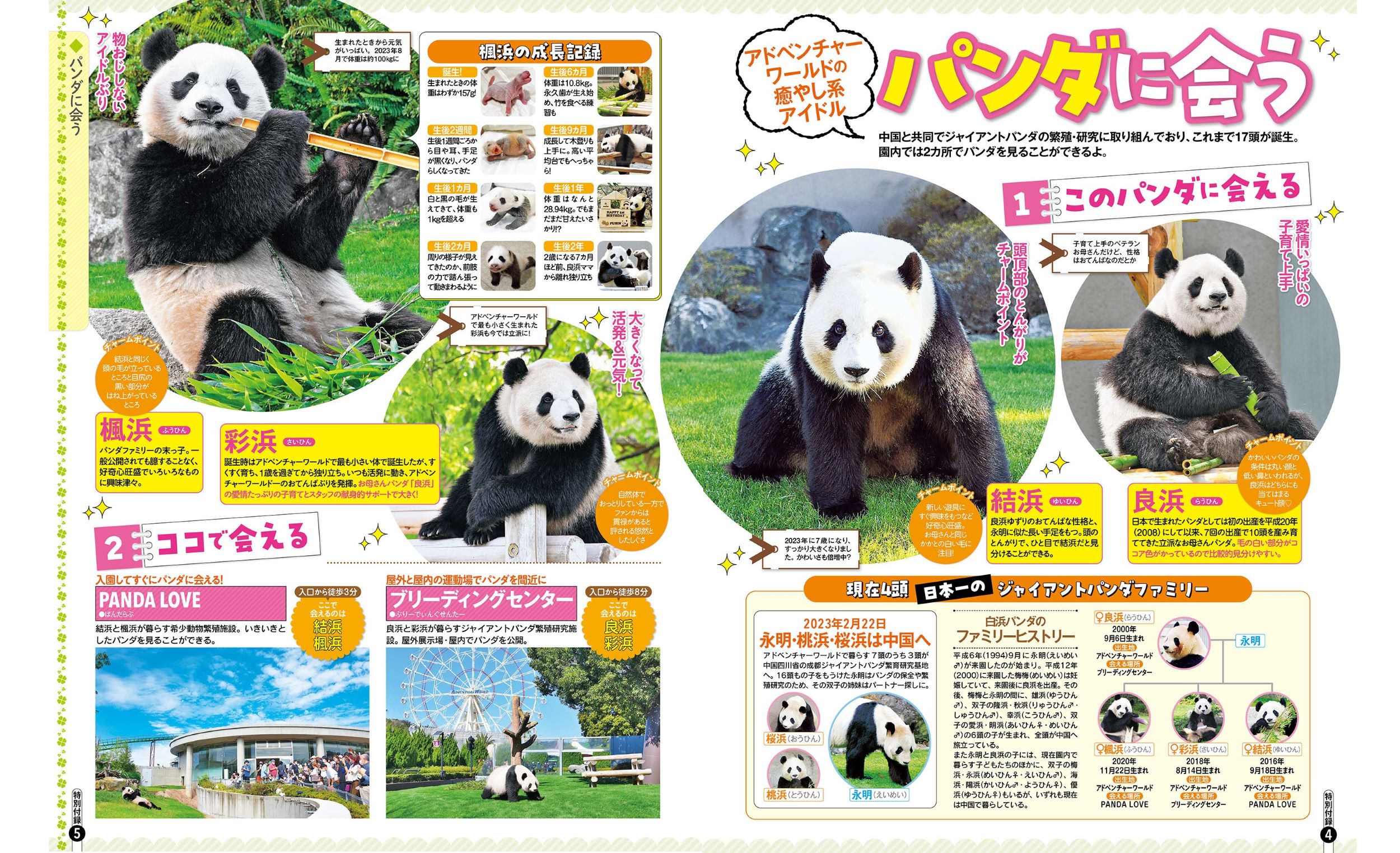 サムネイル画像5