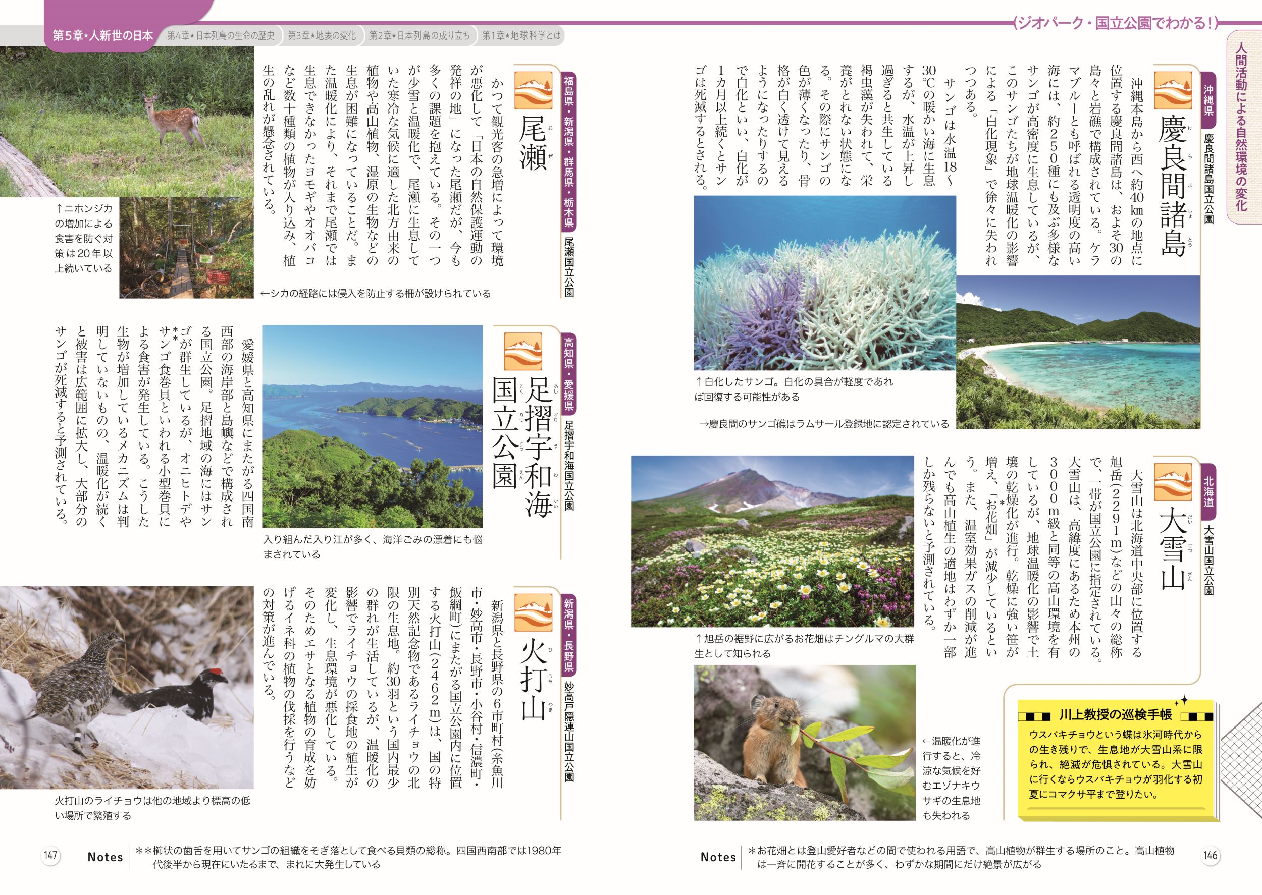 サムネイル画像8