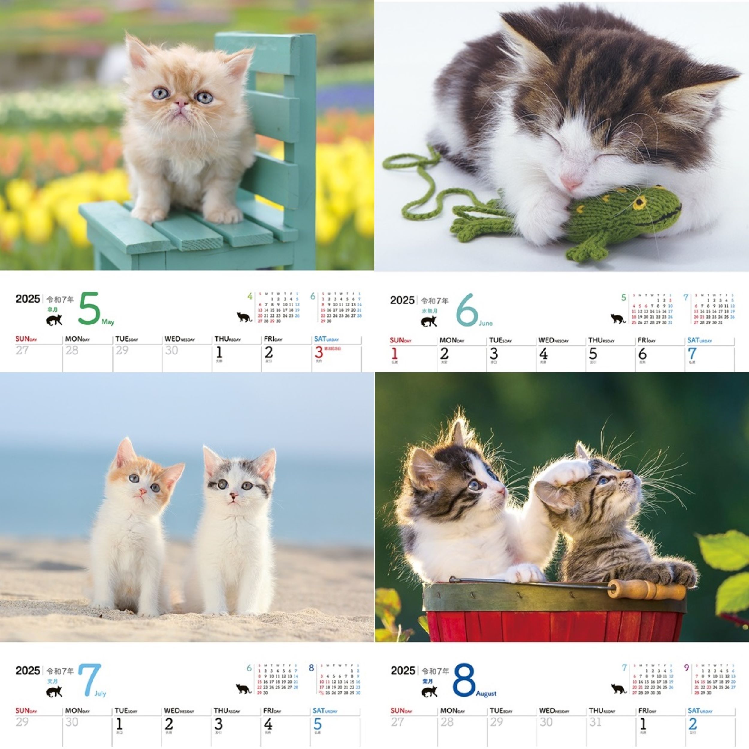サムネイル画像2