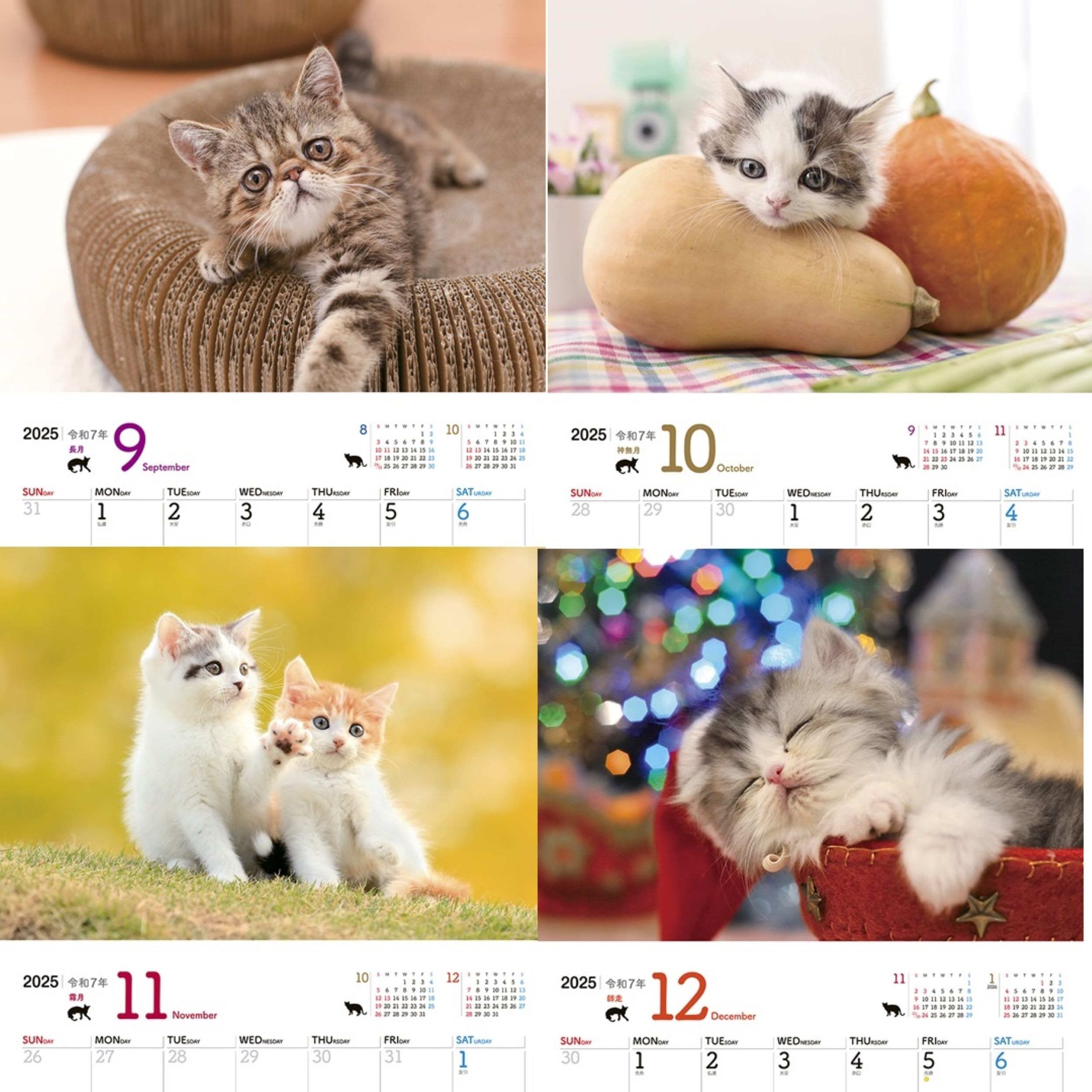 サムネイル画像3