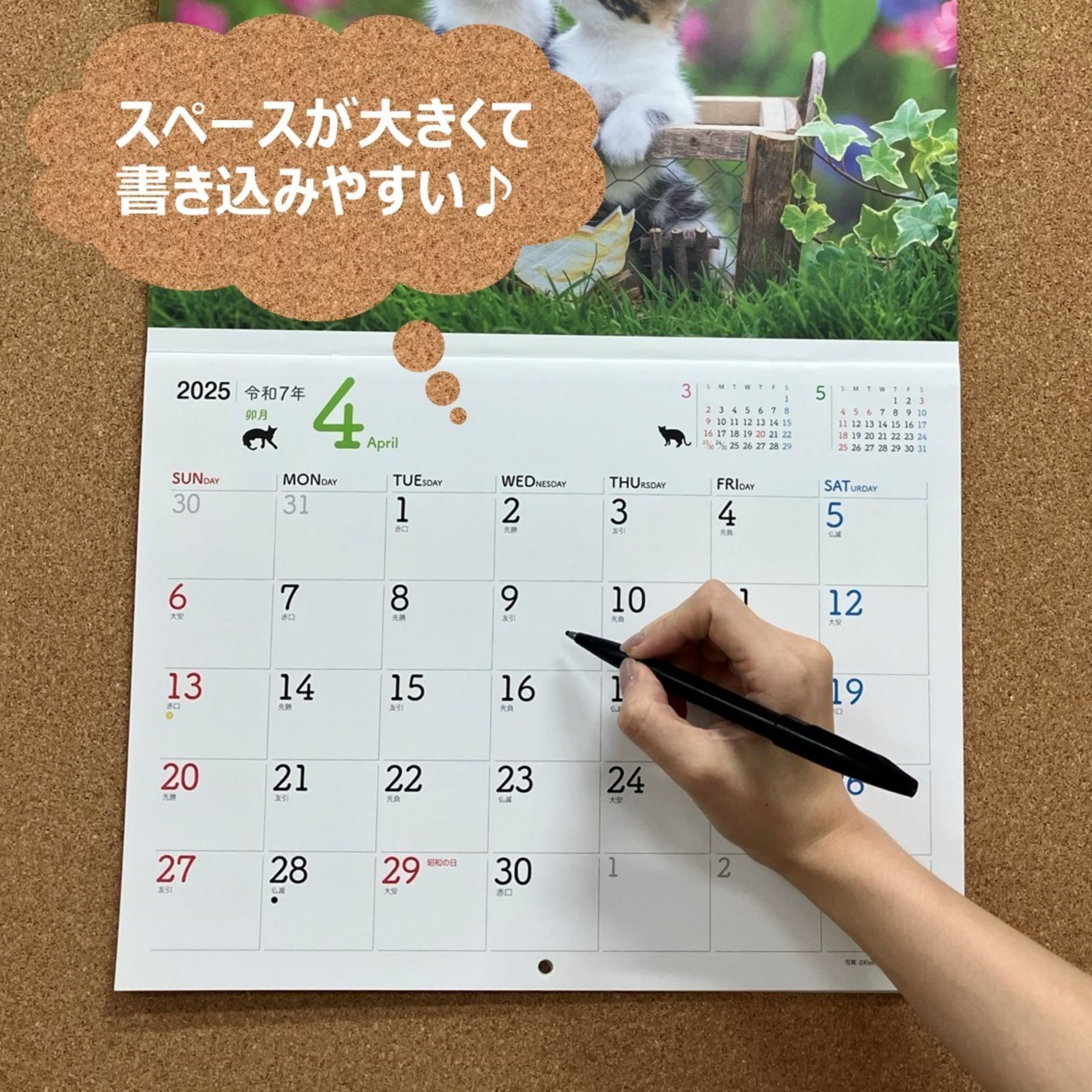 サムネイル画像5