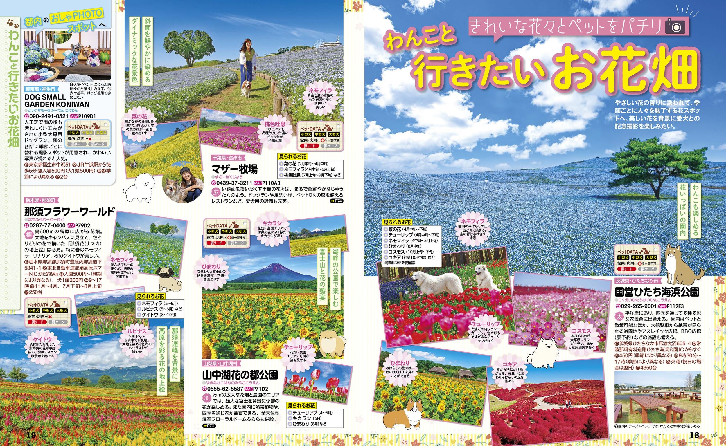 サムネイル画像5
