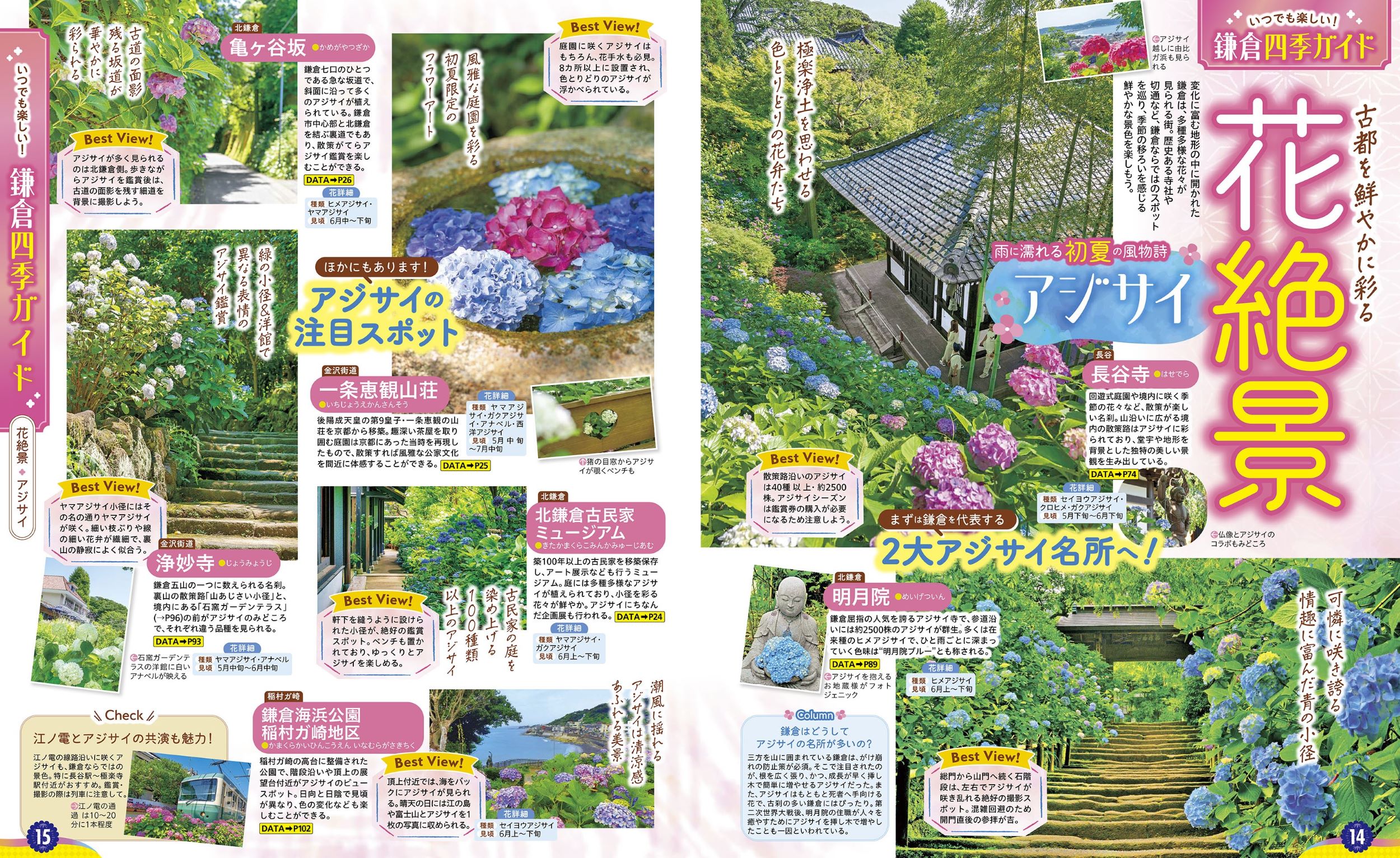 サムネイル画像2