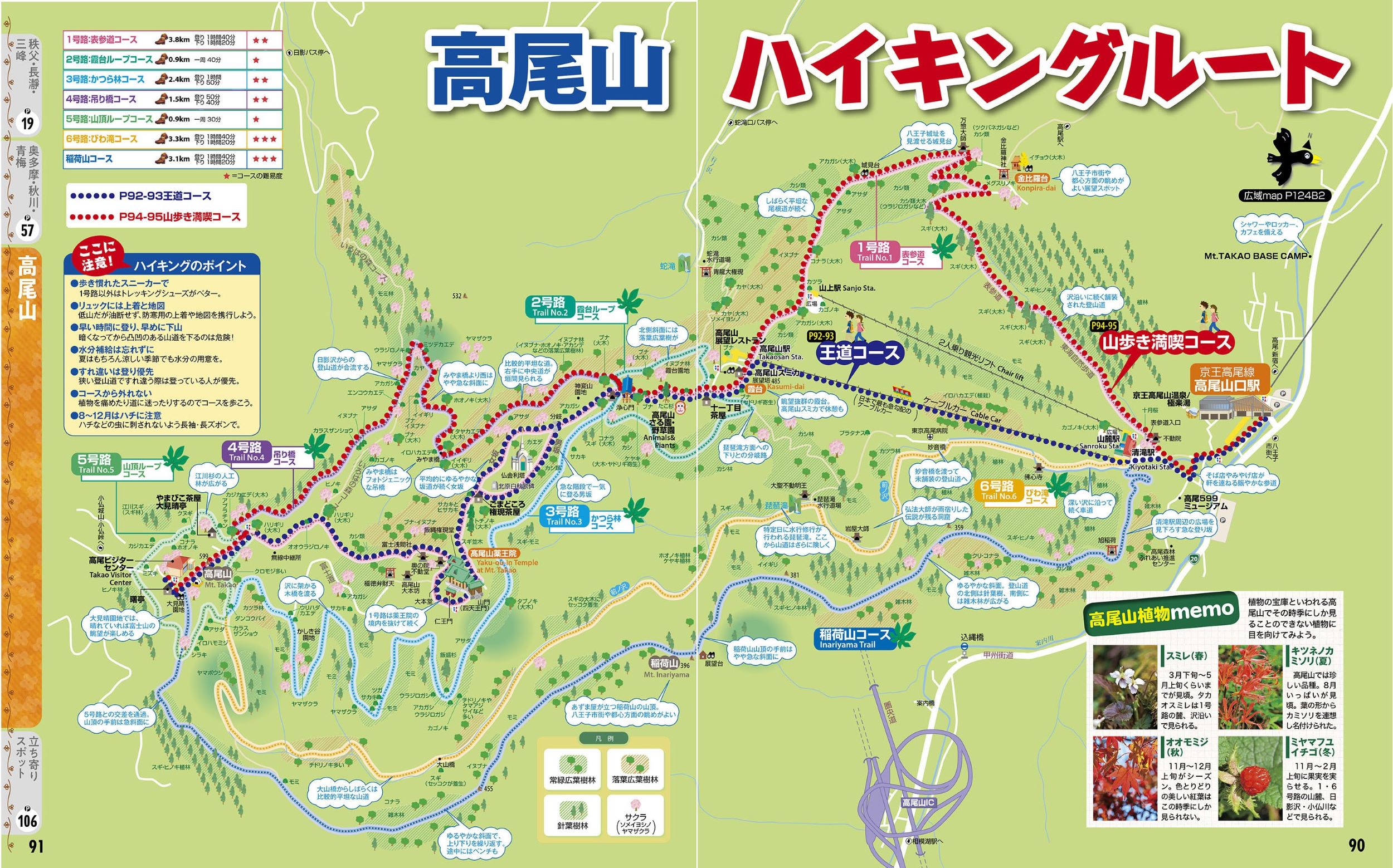 サムネイル画像6