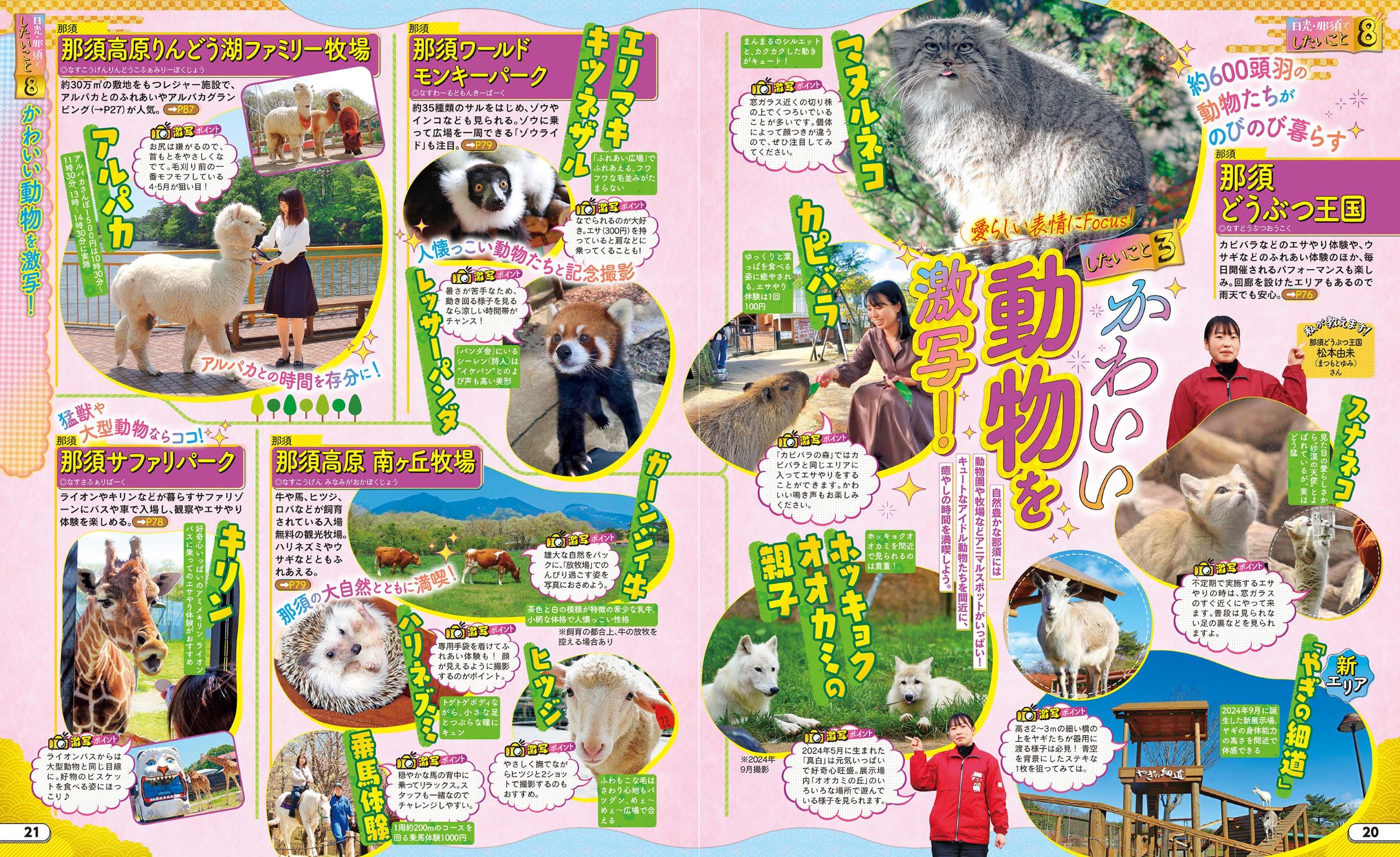 サムネイル画像4