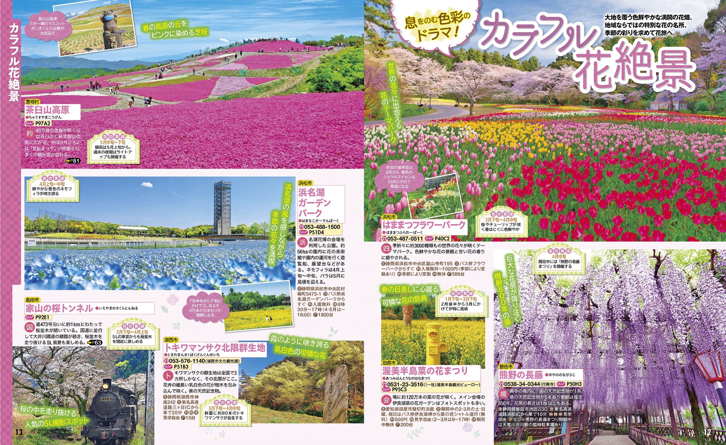 サムネイル画像4